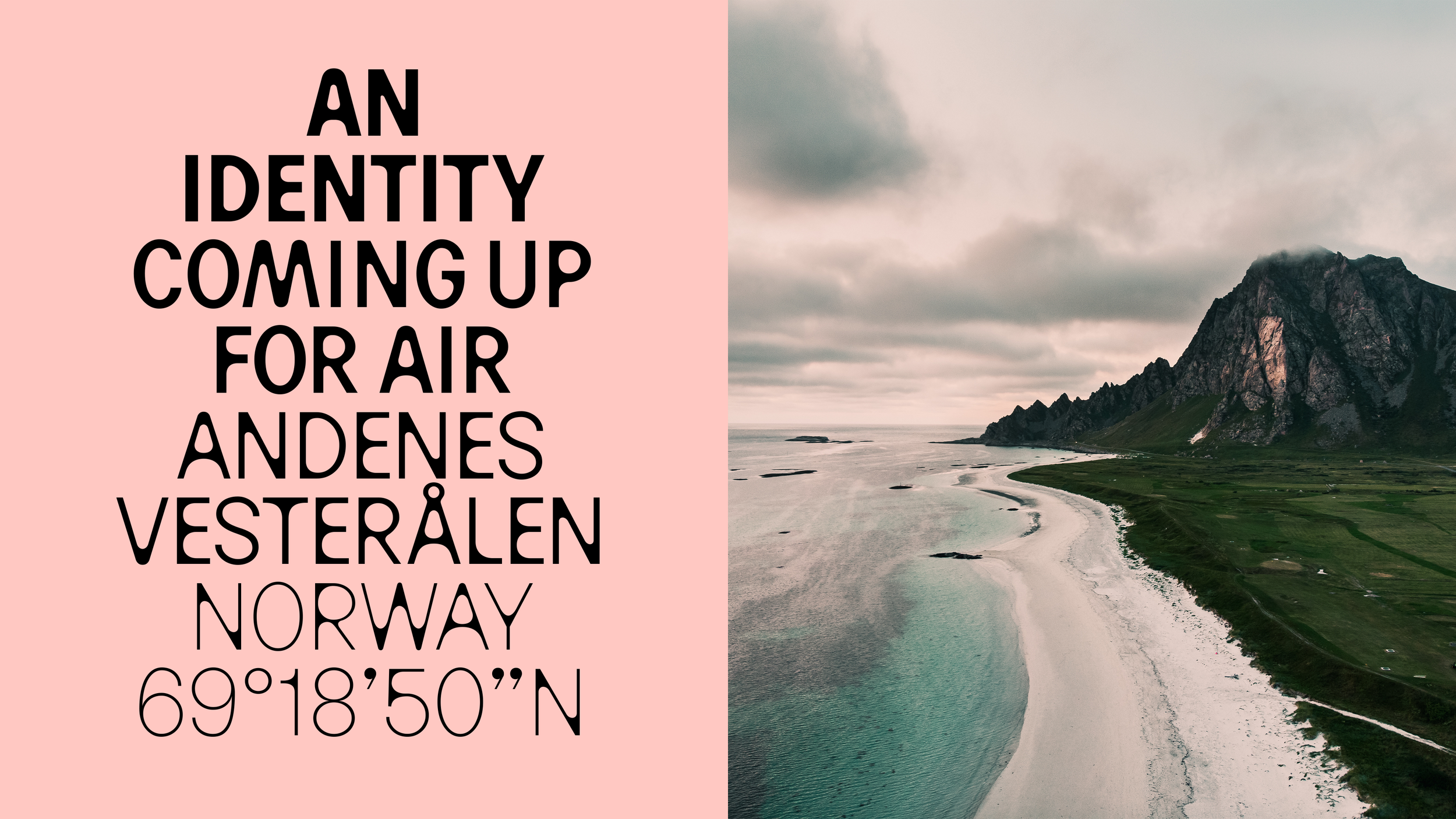 THE_WHALE_coming_up_001 copy.png