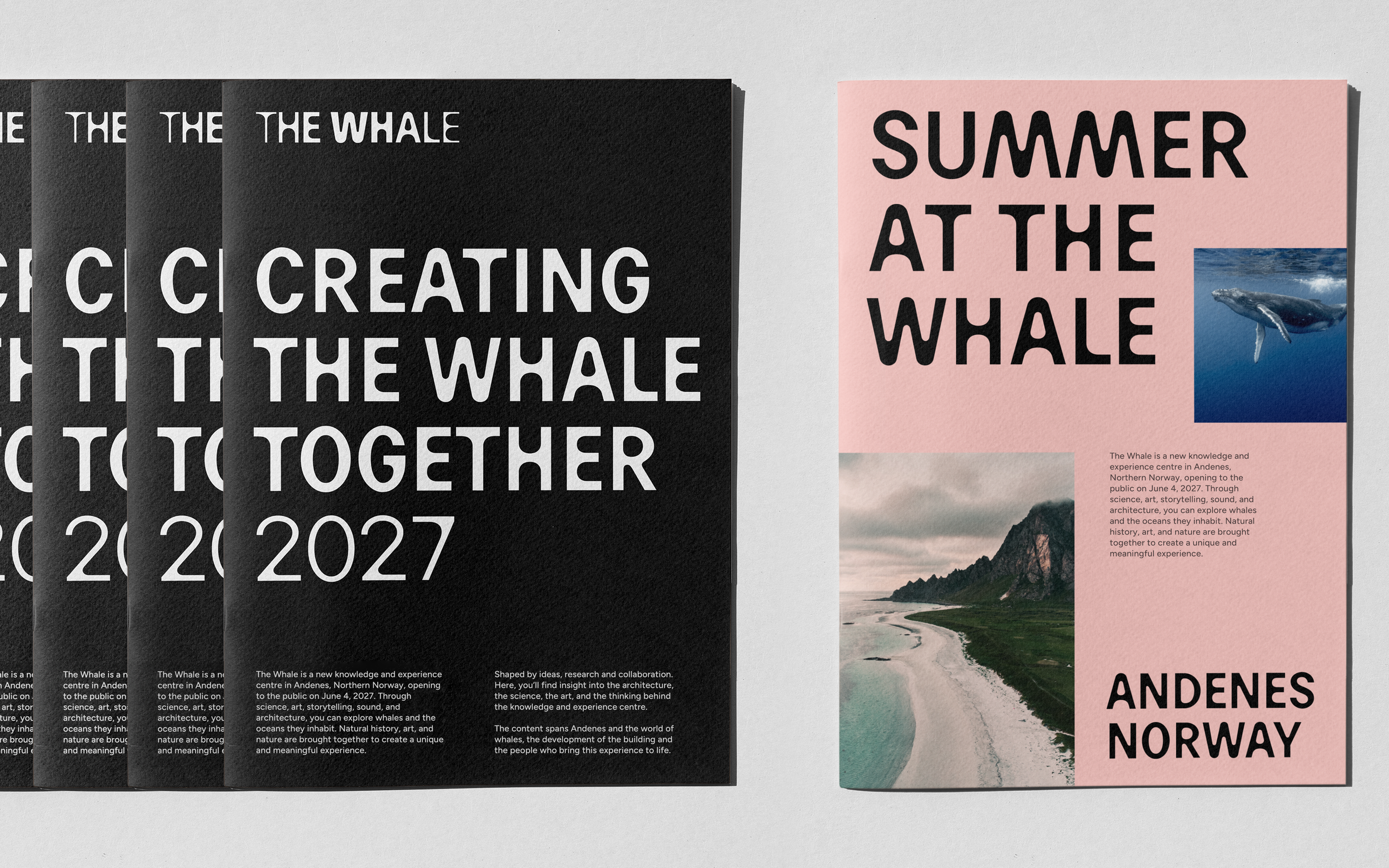 11_The_Whale_Schnitler.png