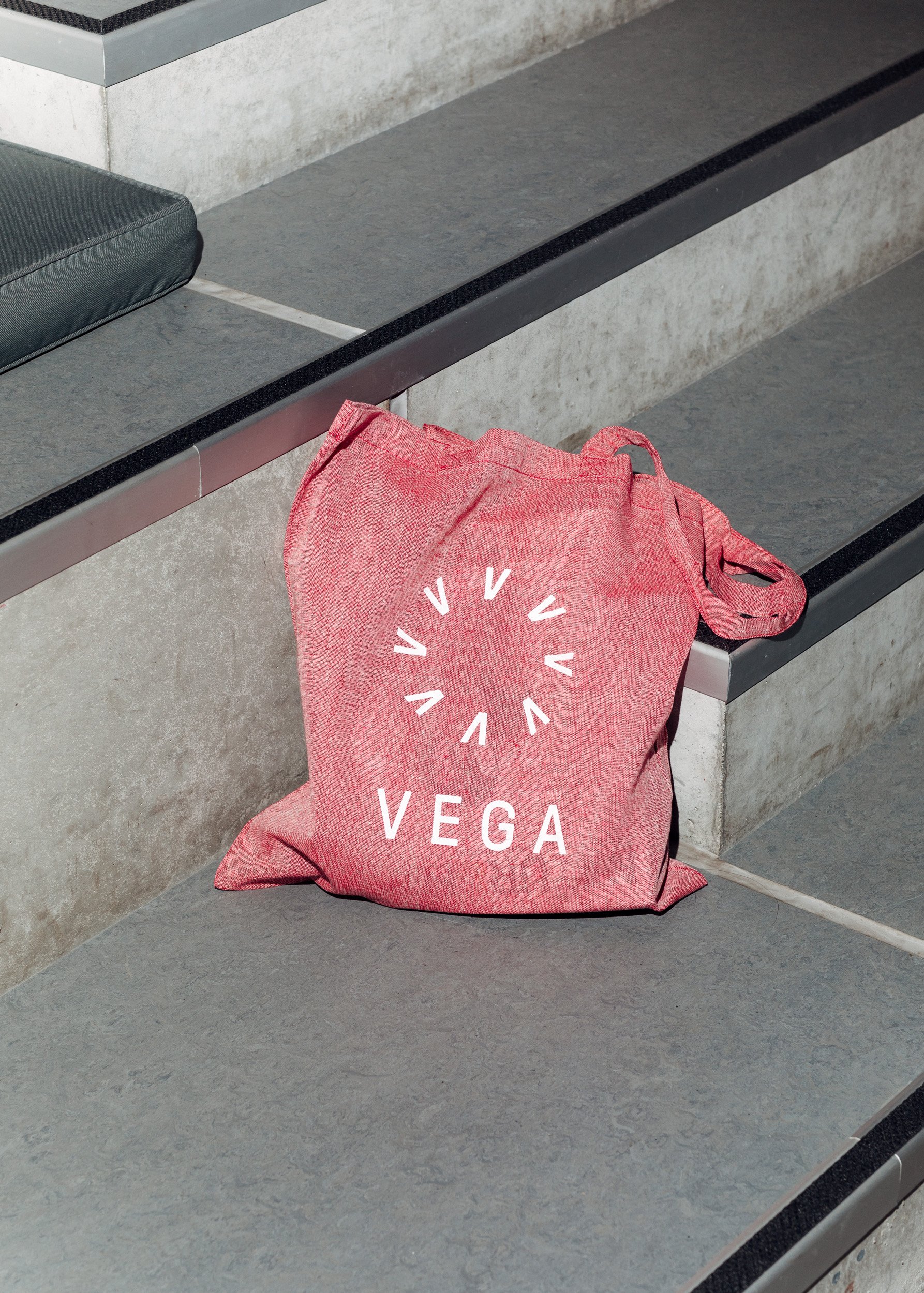 TE_Vega_MG_7995_web.jpg