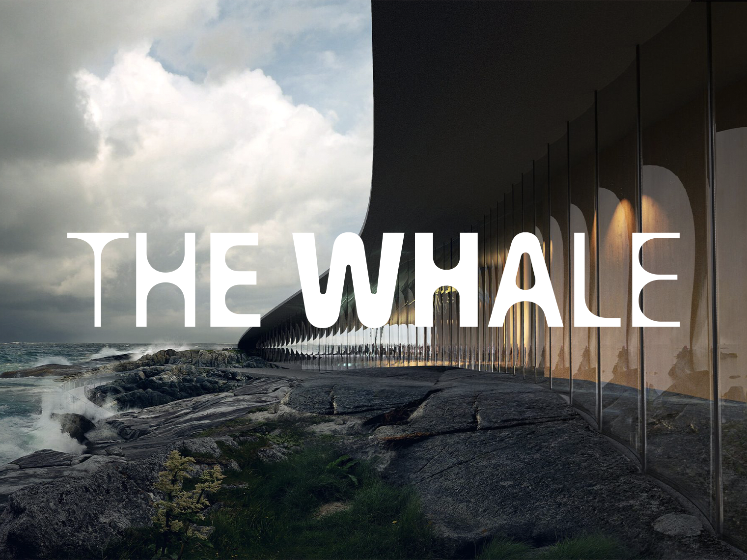THE WHALE