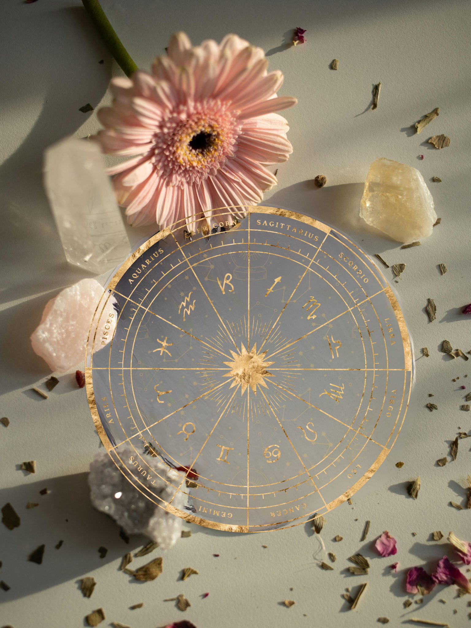 Contagious Devotion Webpage pics.png