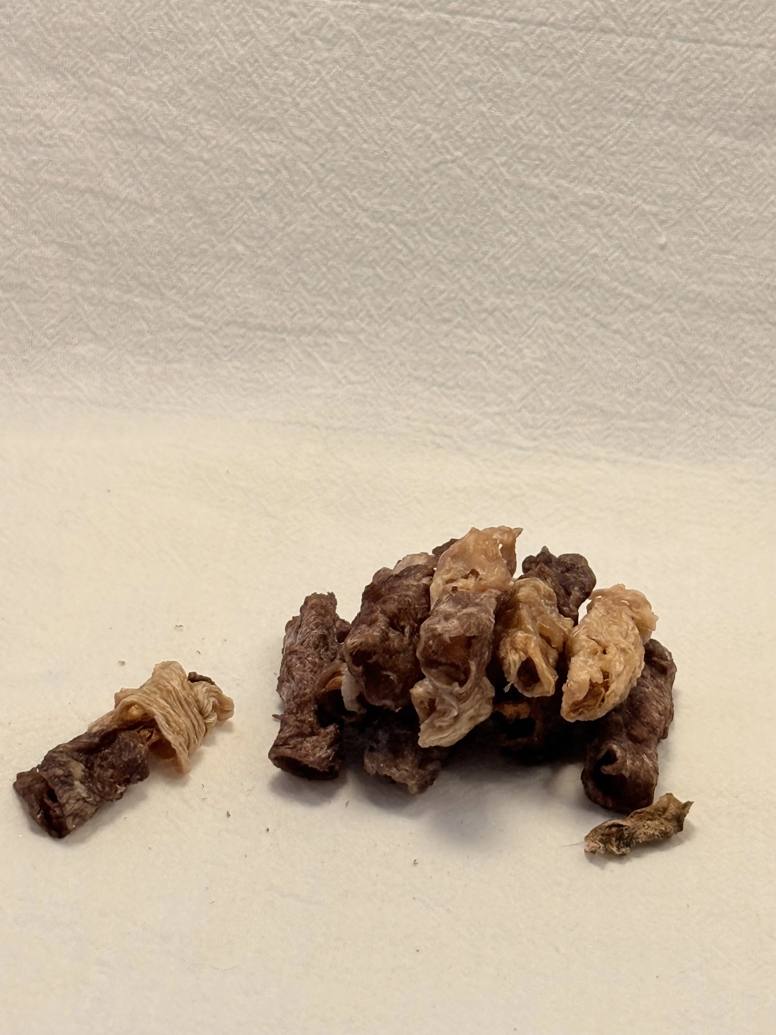 Dehydrated Beef/Chicken Carrot Sticks