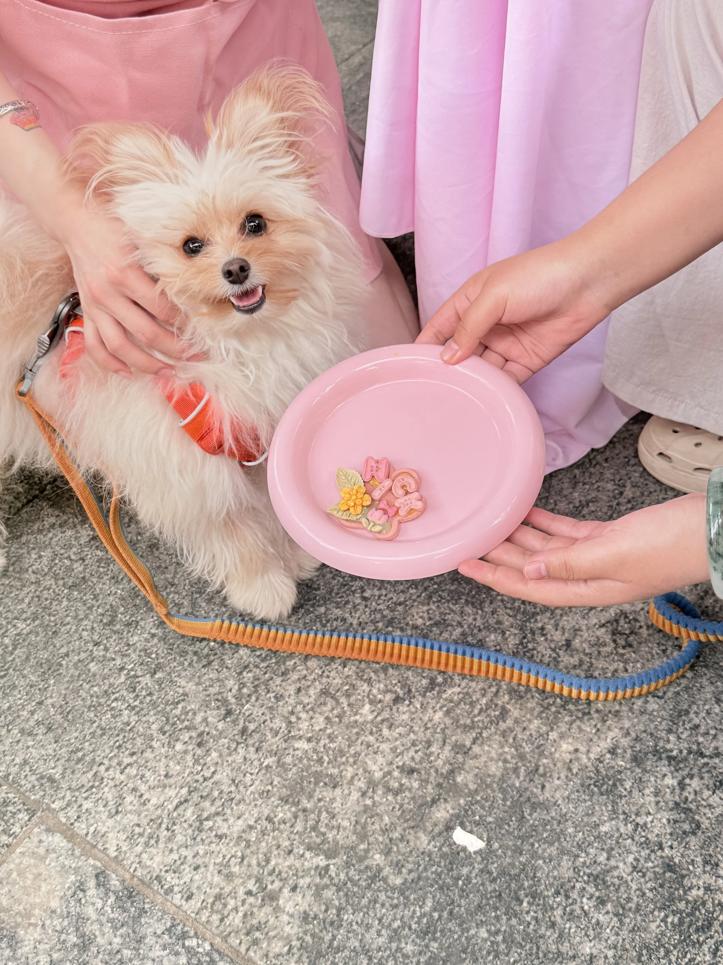 Celebrating the bond between pets and their humans.