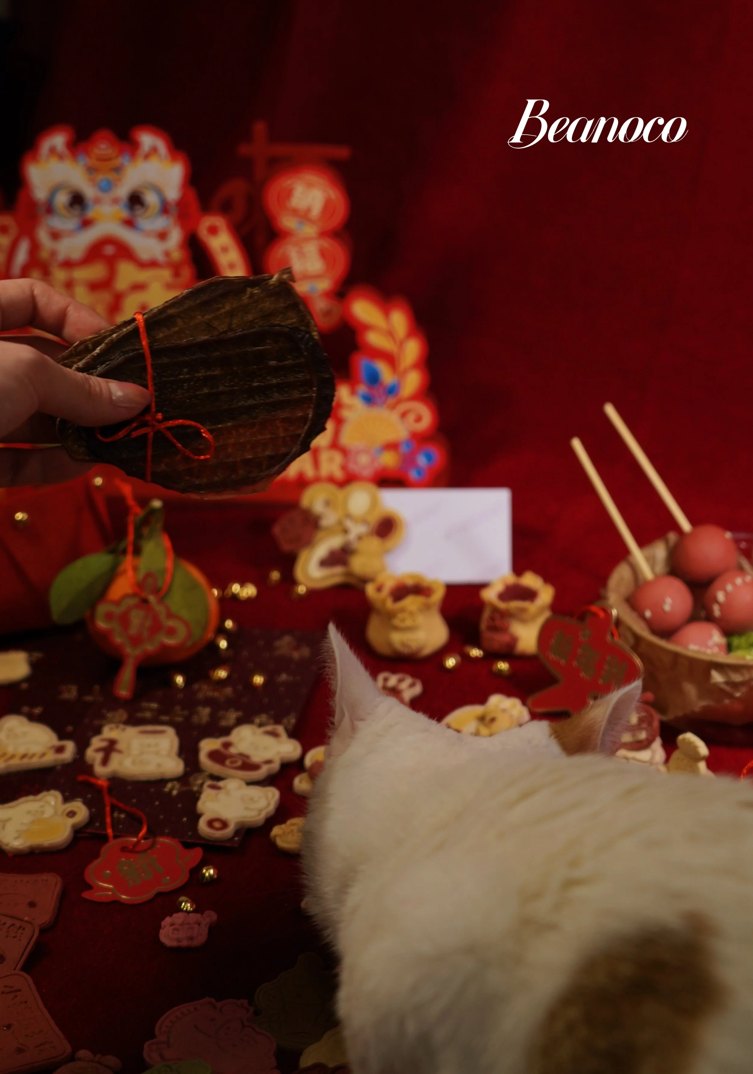 Dehydrated Pork Testicles