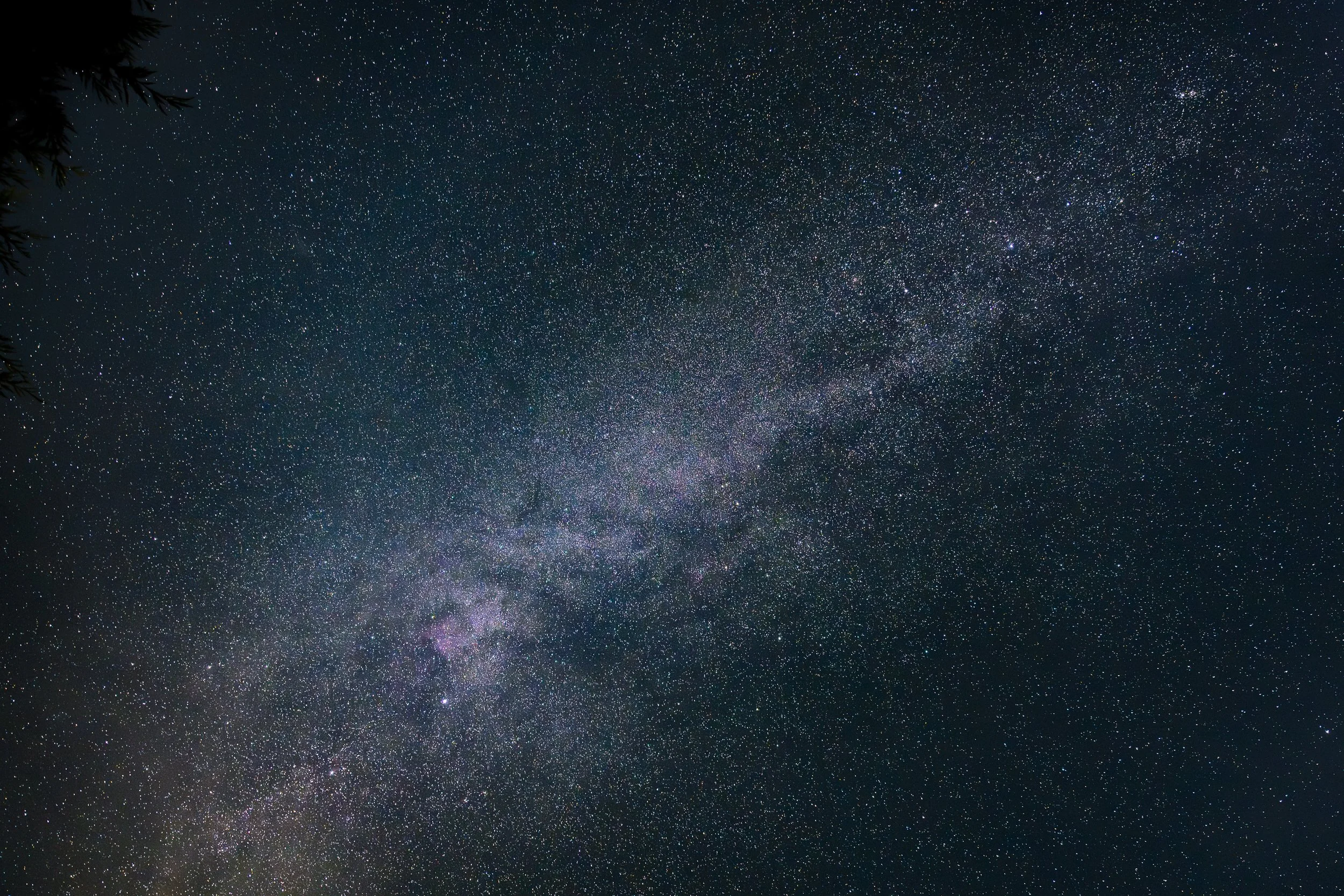 Night sky filled with stars, revealing the Milky Way galaxy with a faint presence of trees in the upper left corner.