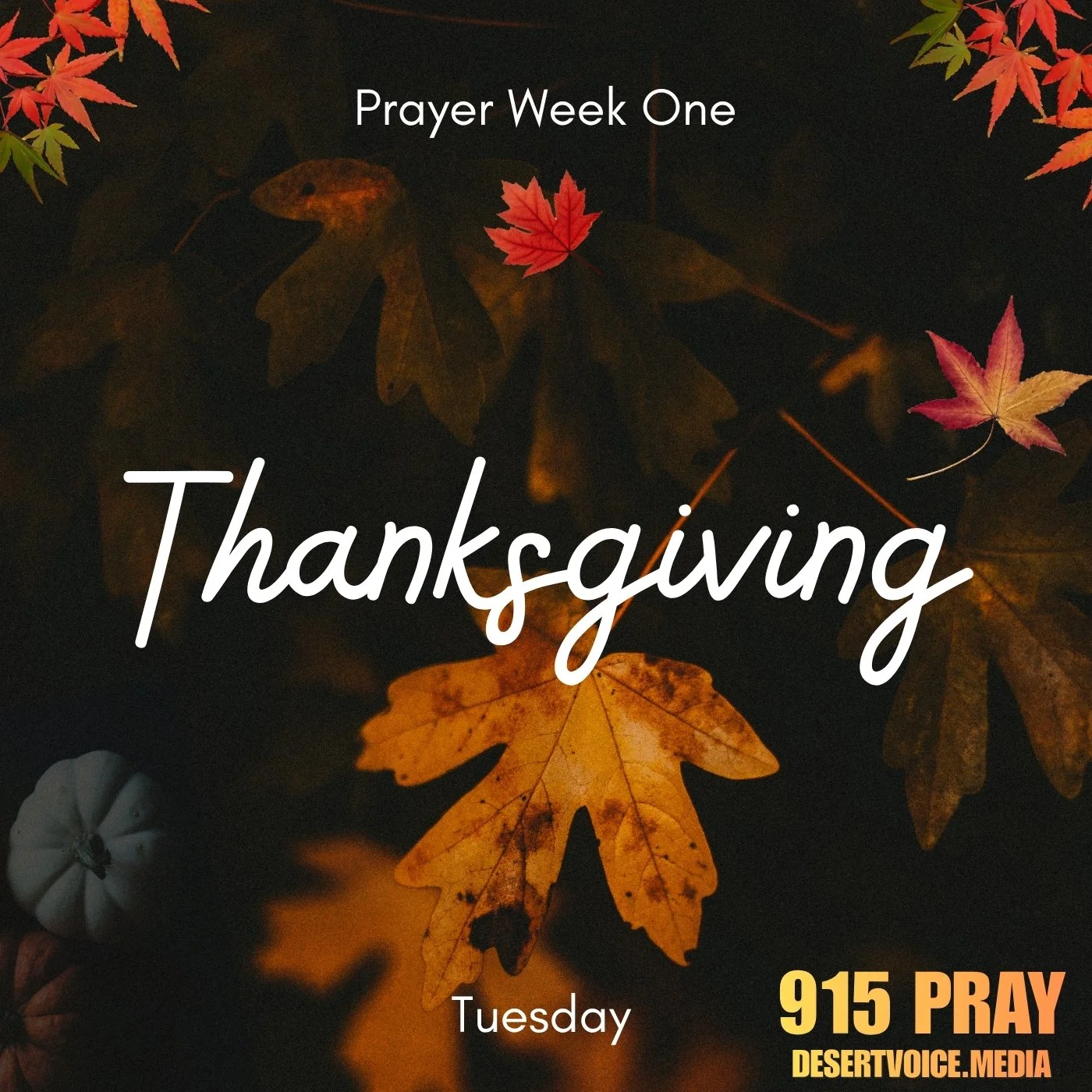 THANKS GIVING WEEK ONE (DAY2)