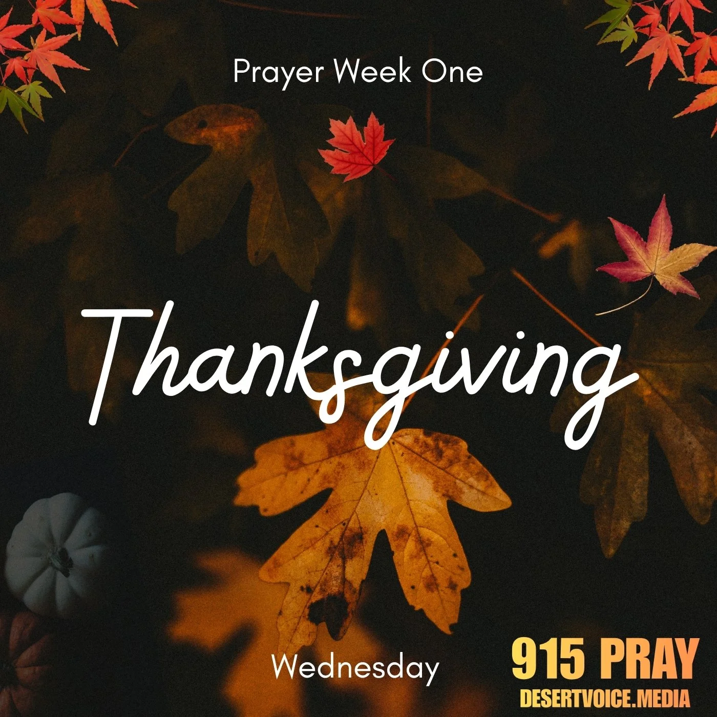 THANKS GIVING WEEK ONE (DAY3)