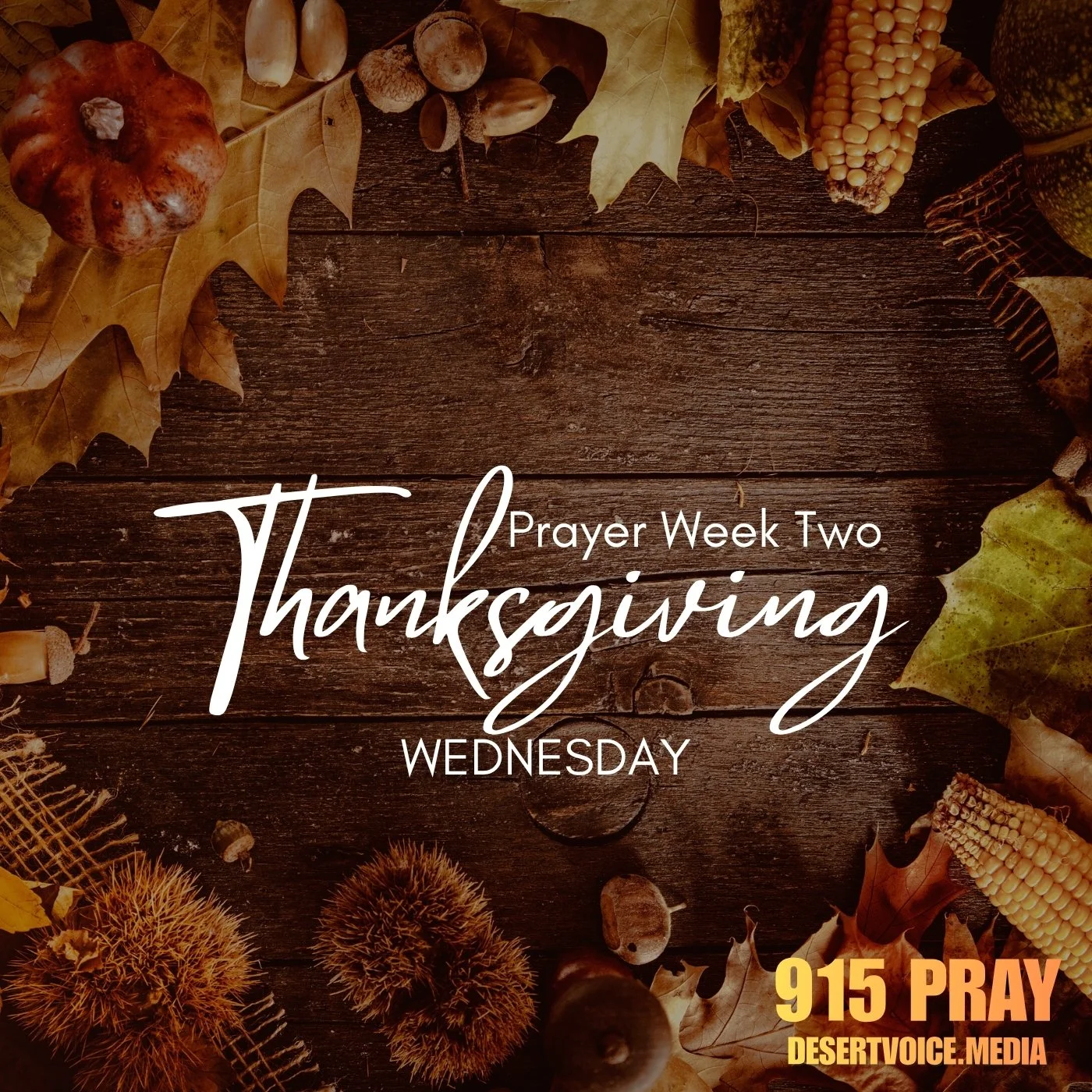 THANKS GIVING WEEK TWO (DAY3)