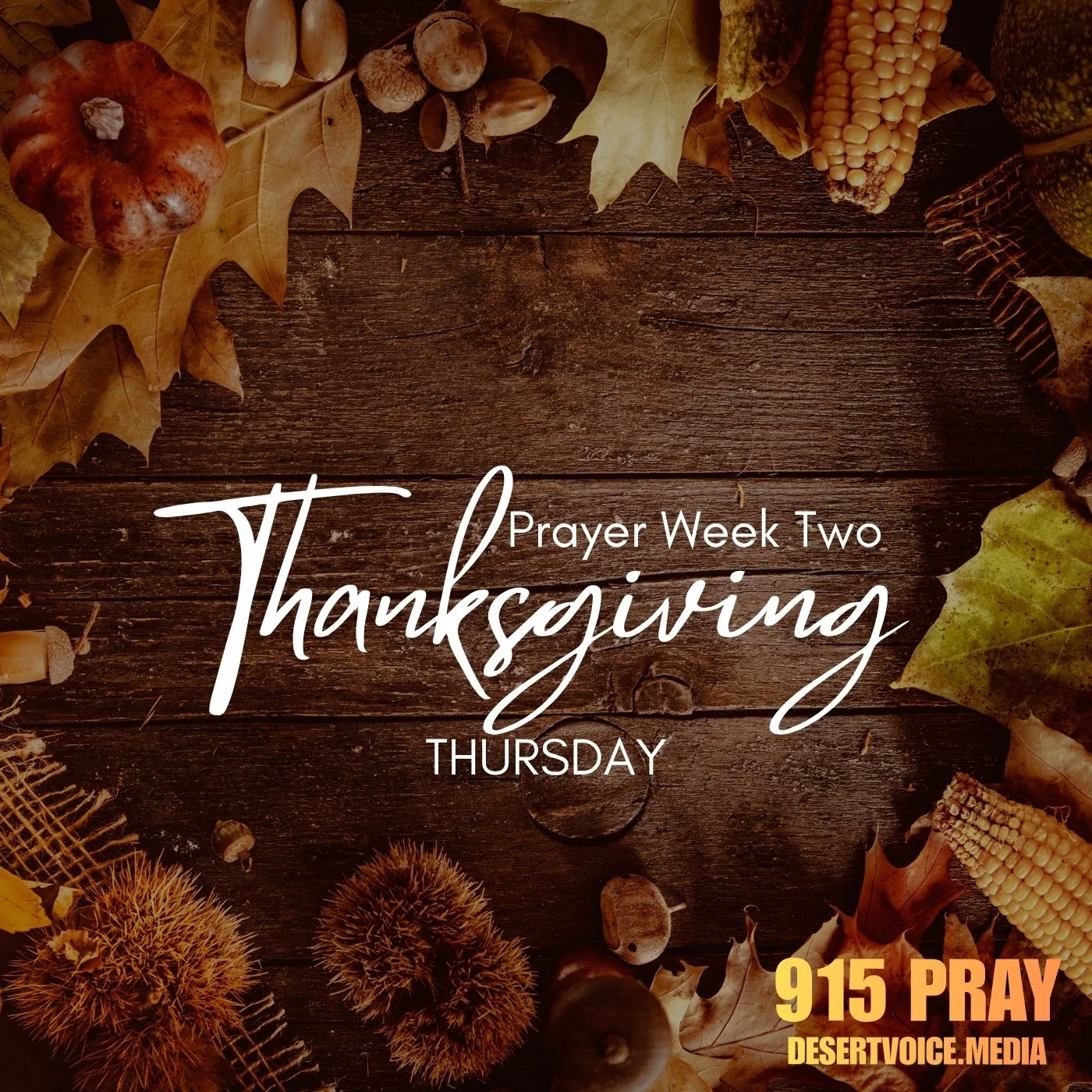 THANKS GIVING WEEK TWO (DAY4)