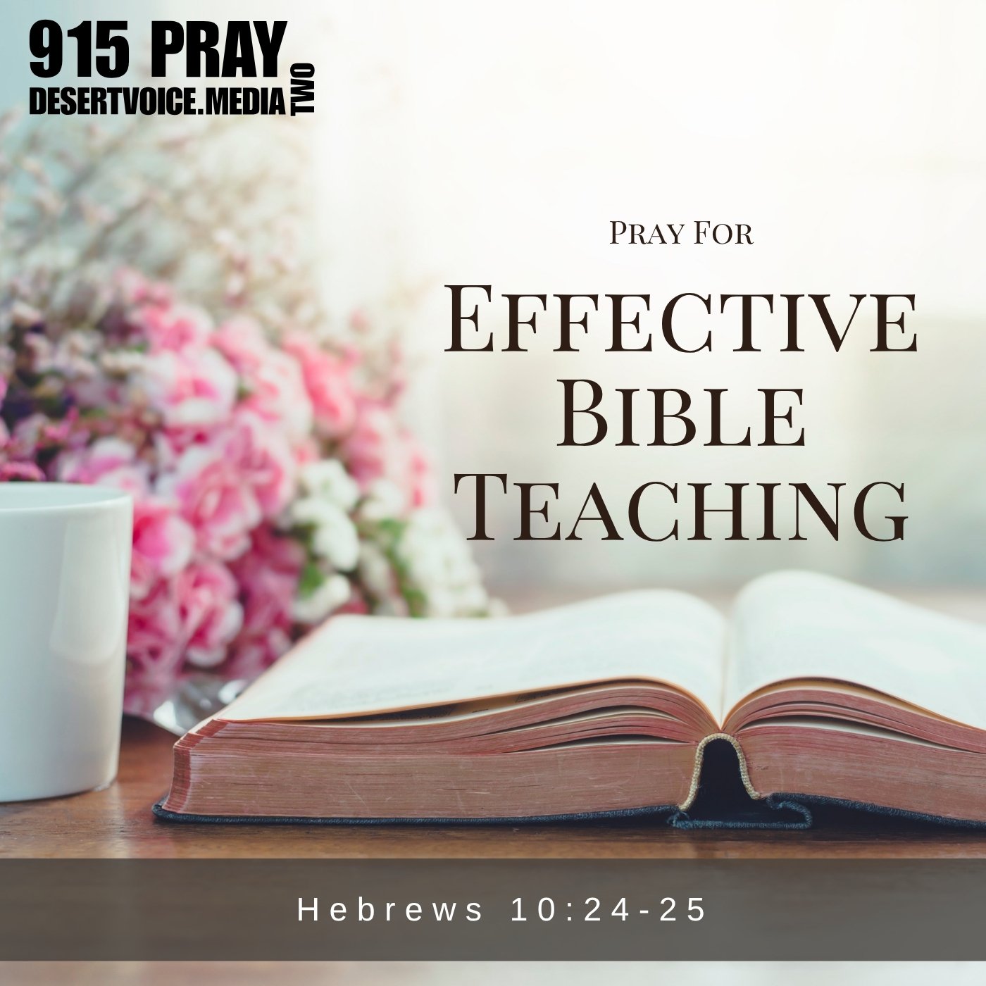 PRAY FOR EFFECTIVE BIBLE TEACHING (DAY2)