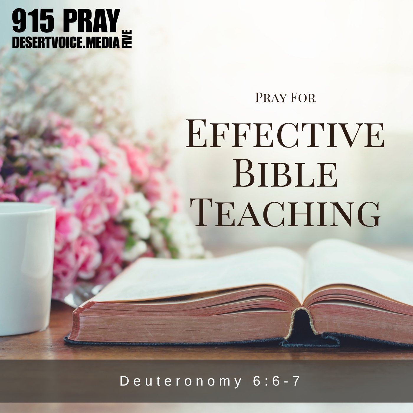 PRAY FOR EFFECTIVE BIBLE TEACHING (DAY5)