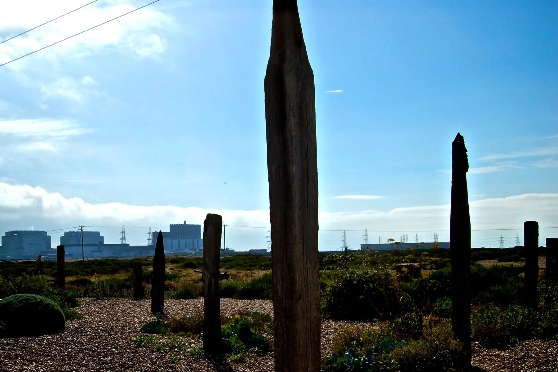 DSC_0033.jpg