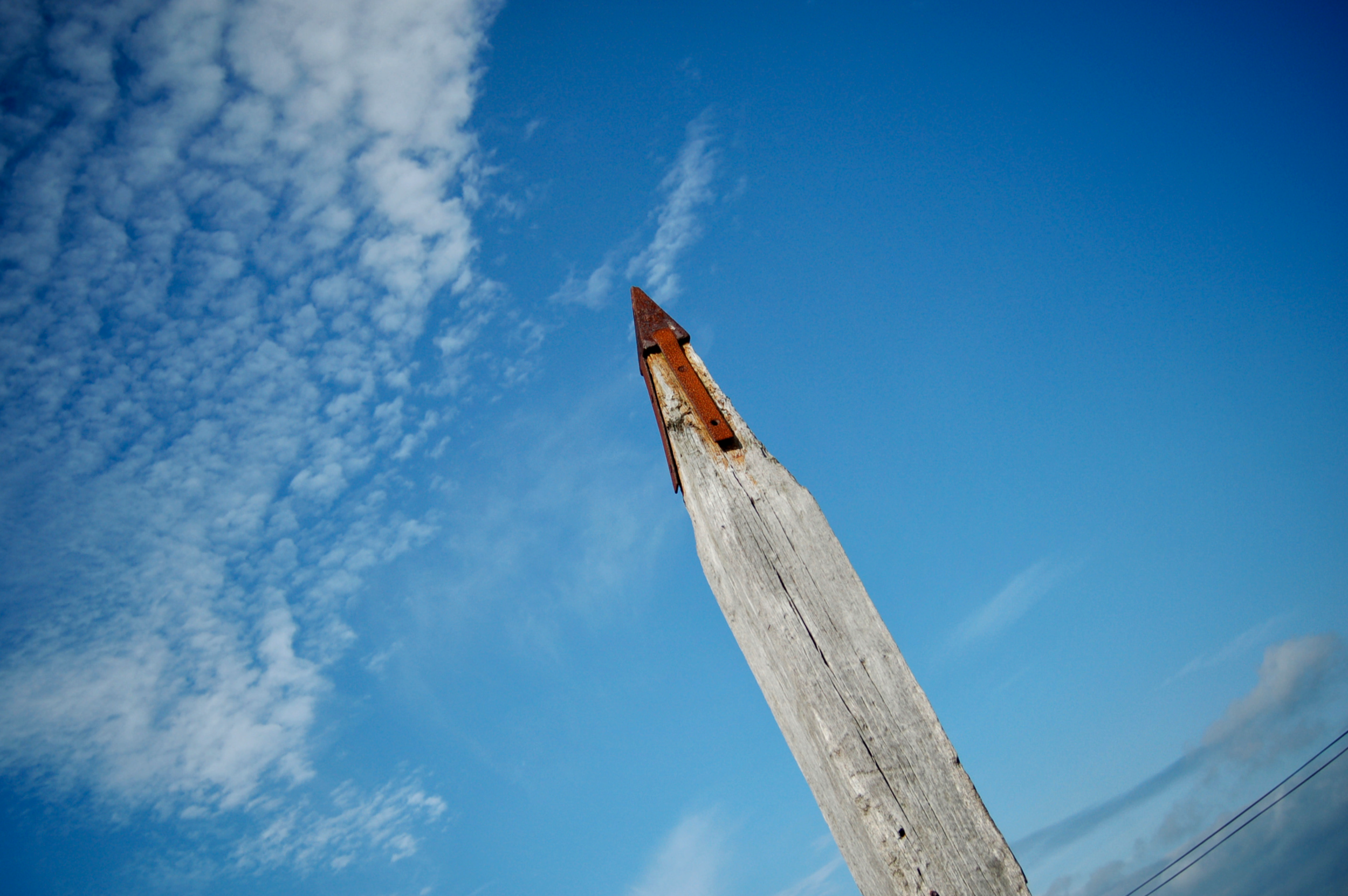 DSC_0041.png