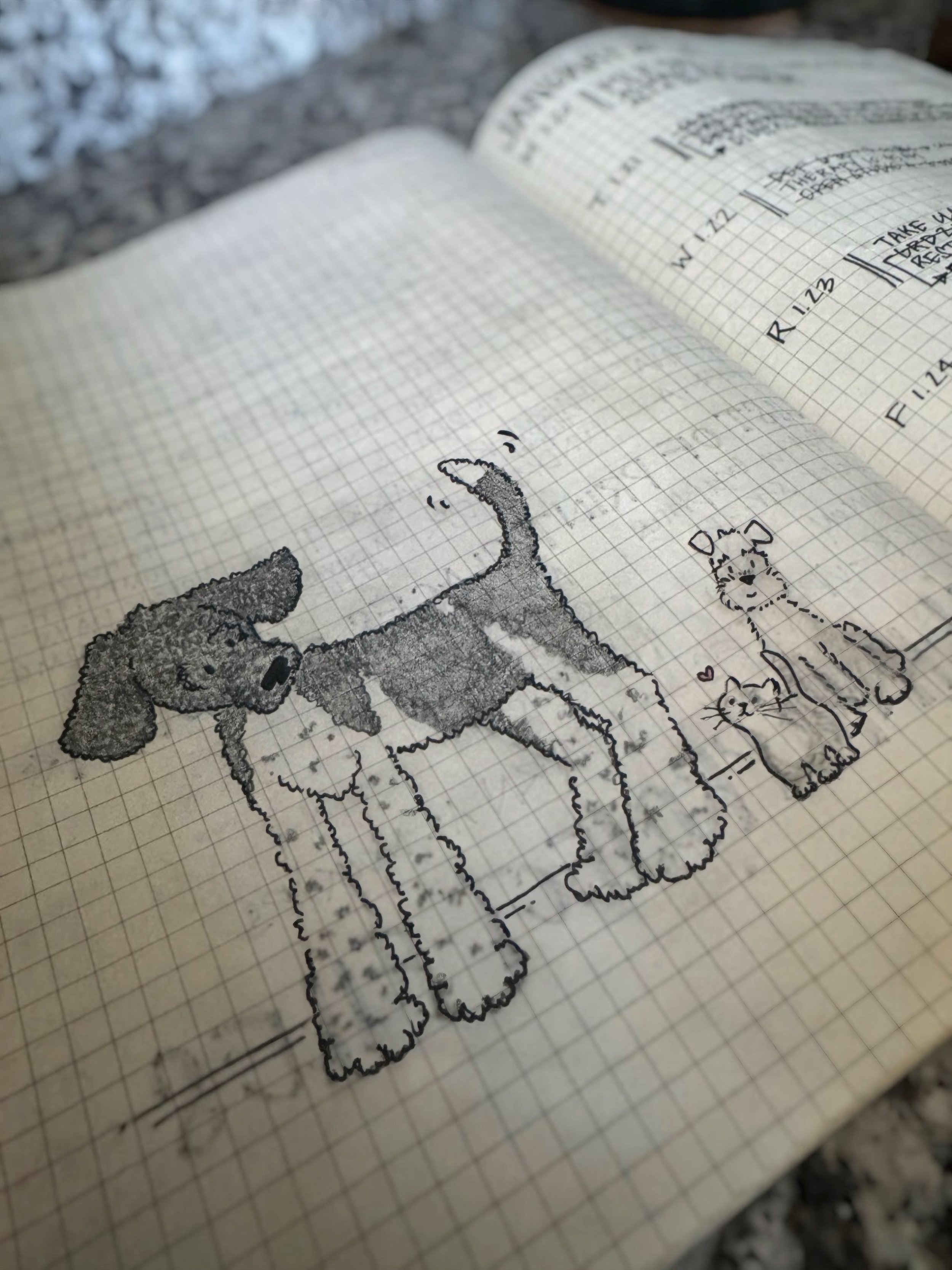 doodle_test2.jpg