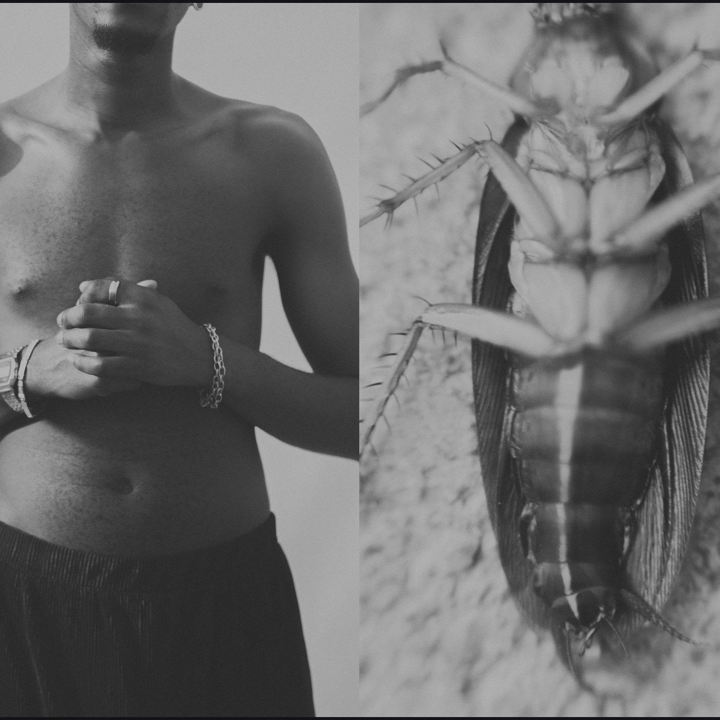 A Portrait Study of Kitso

@ottoisdead by me