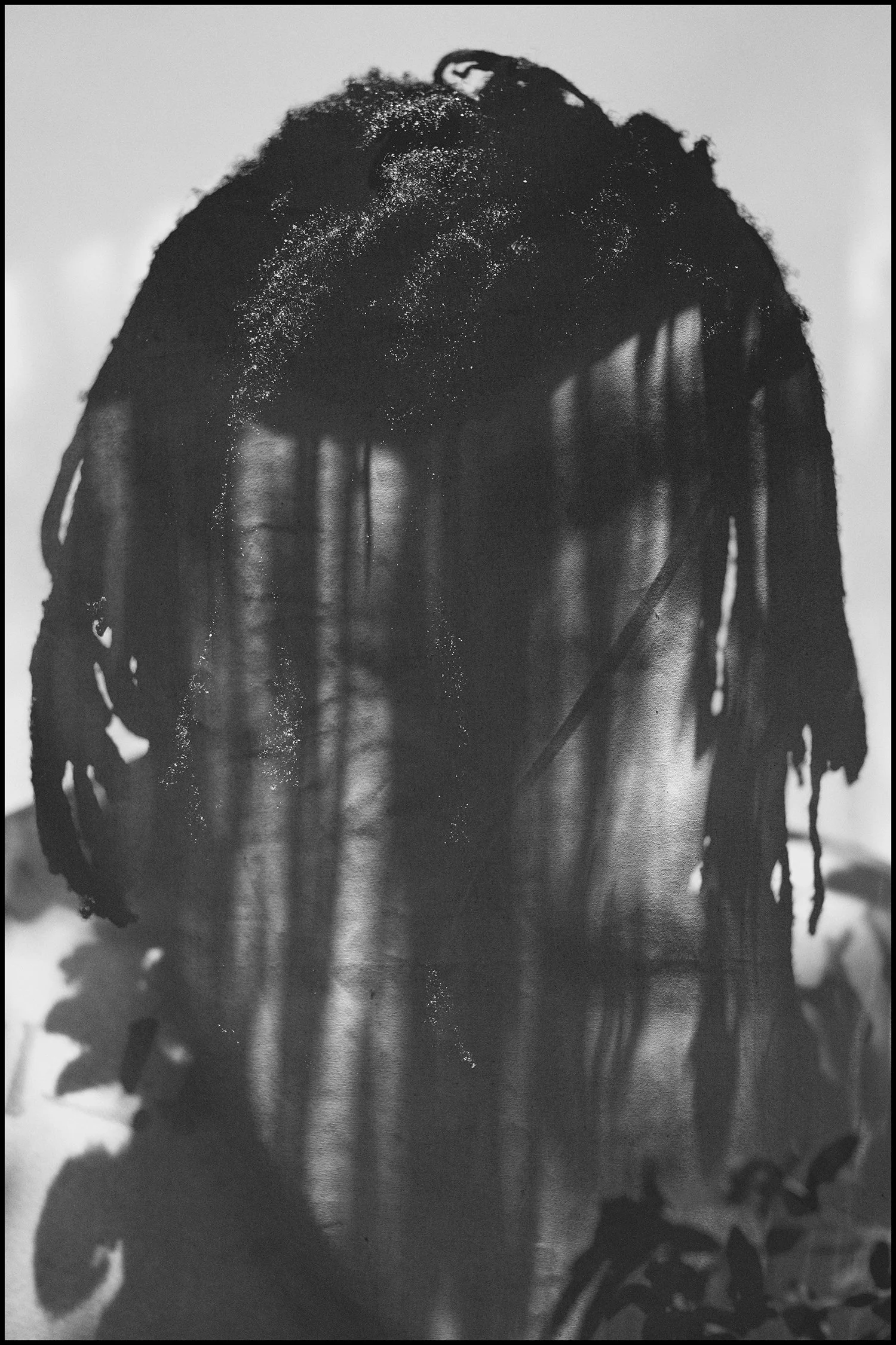 Branches Carry Leaves.jpg