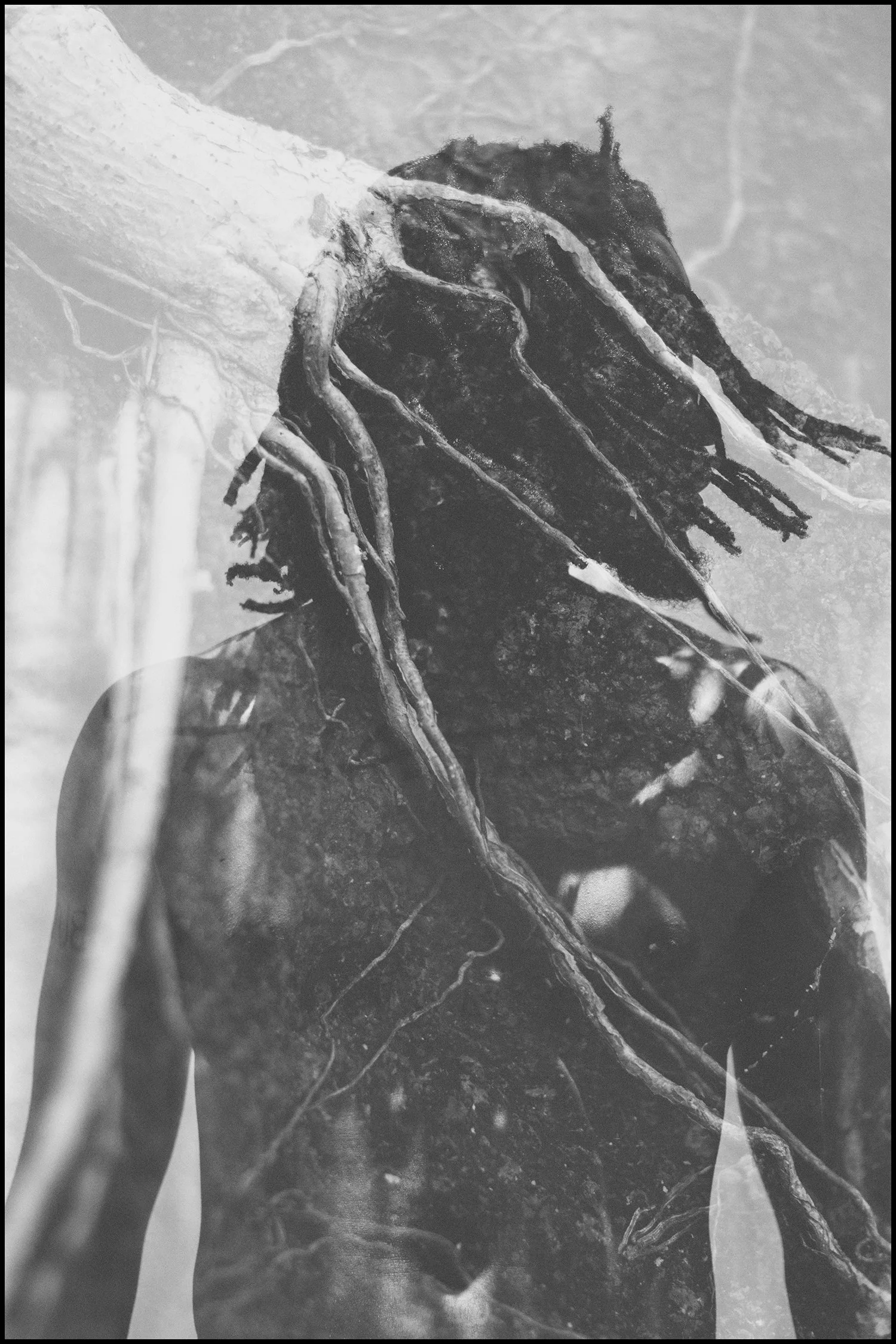 I've Found My Roots B.jpg