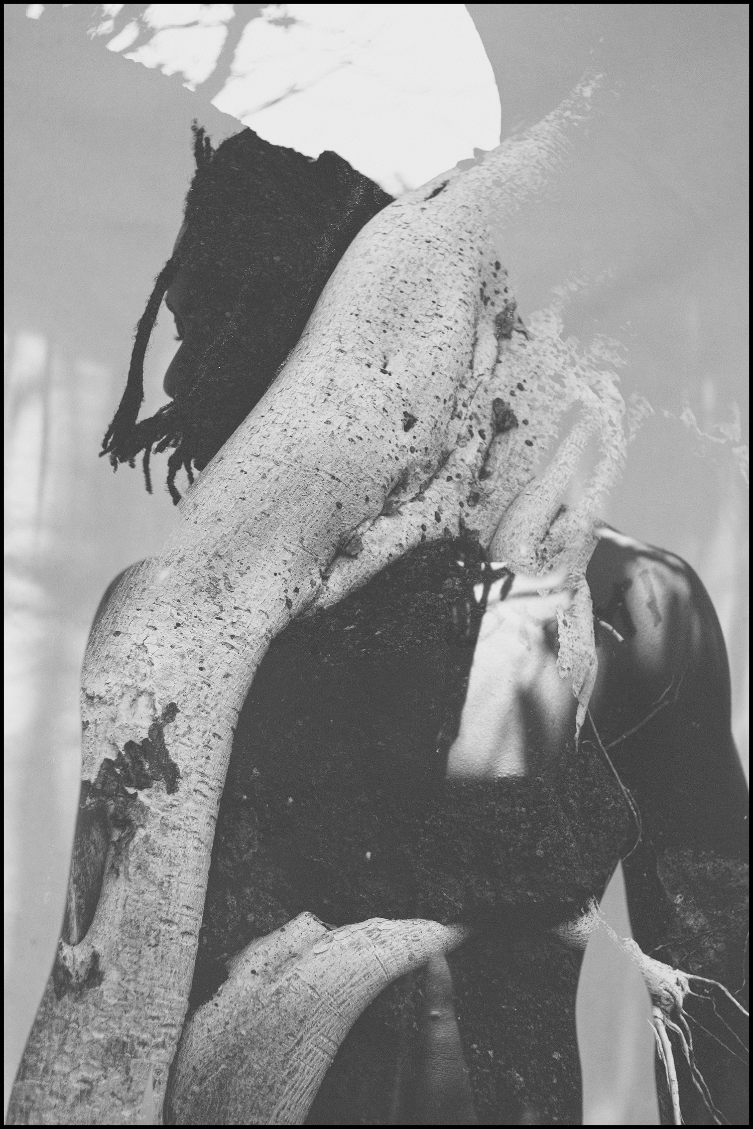 I've Found My Roots A.jpg