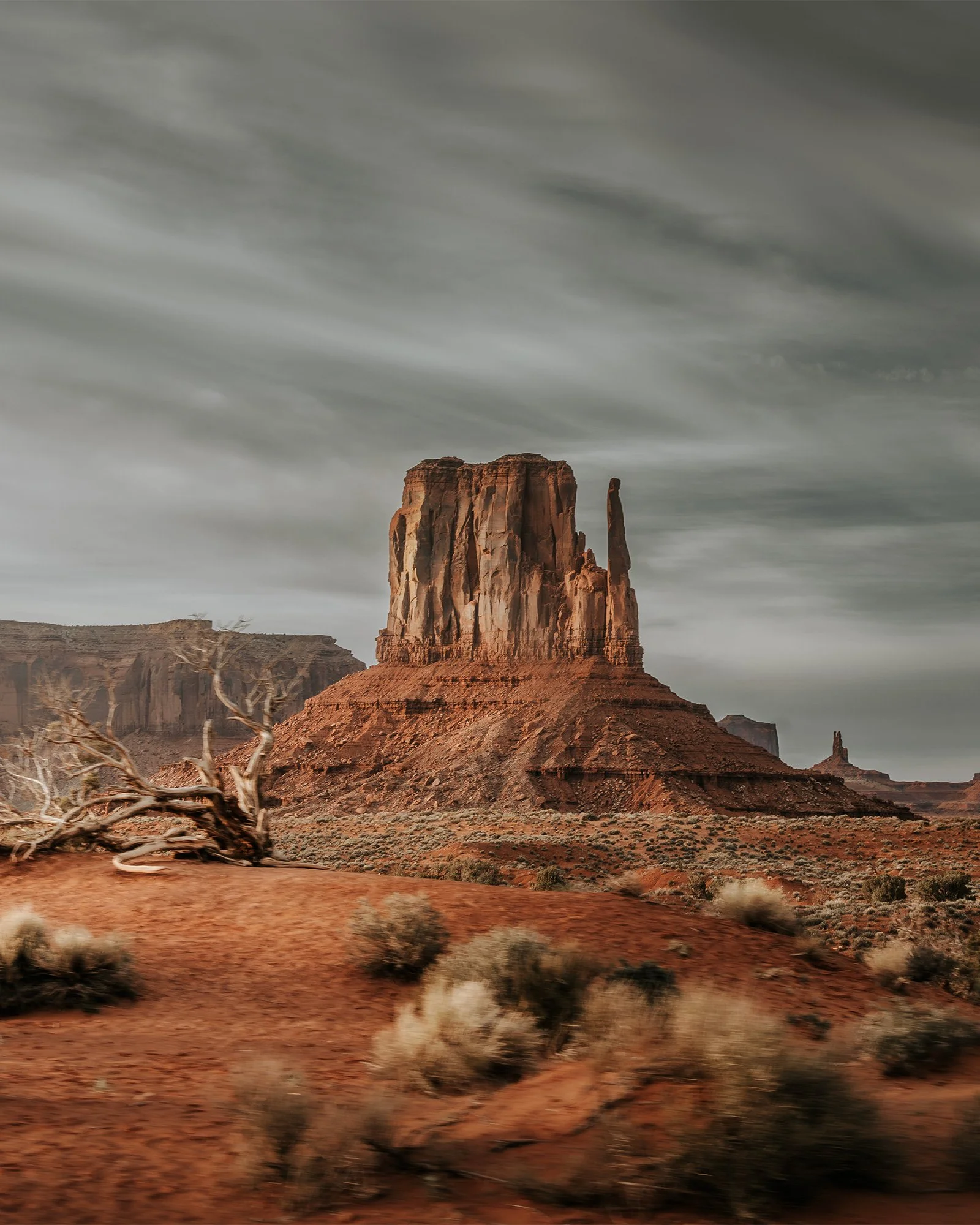 A large butte in a desert landscape with rocky terrain, sparse bushes, and a fallen tree in the foreground, under a cloudy sky.