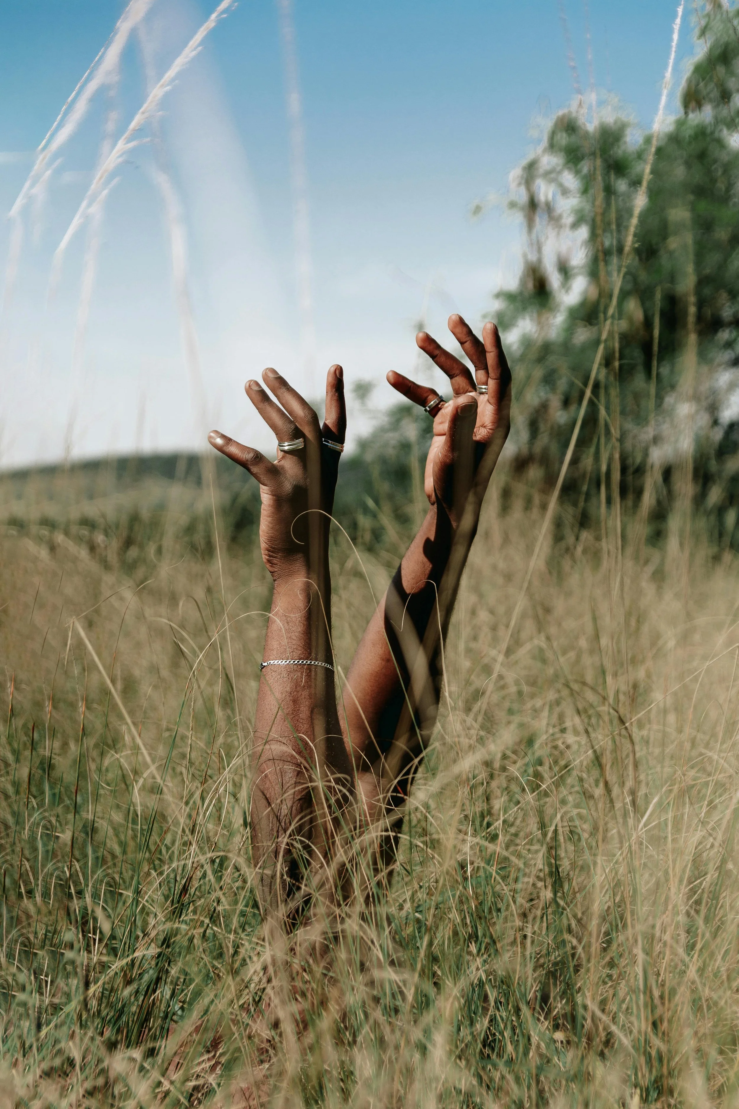 A pair of hands with rings and bracelets emerging from tall grass, reaching upwards with a blue sky and some trees in the background.