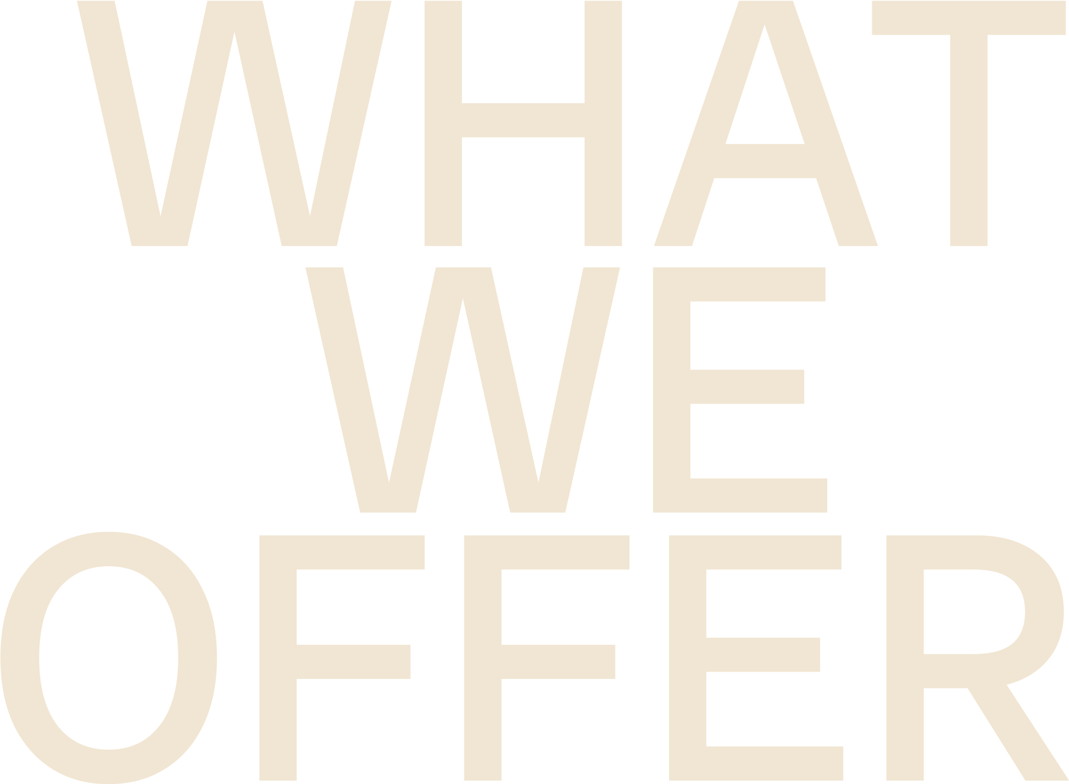 Bold text reading 'WHAT WE OFFER' on a black background