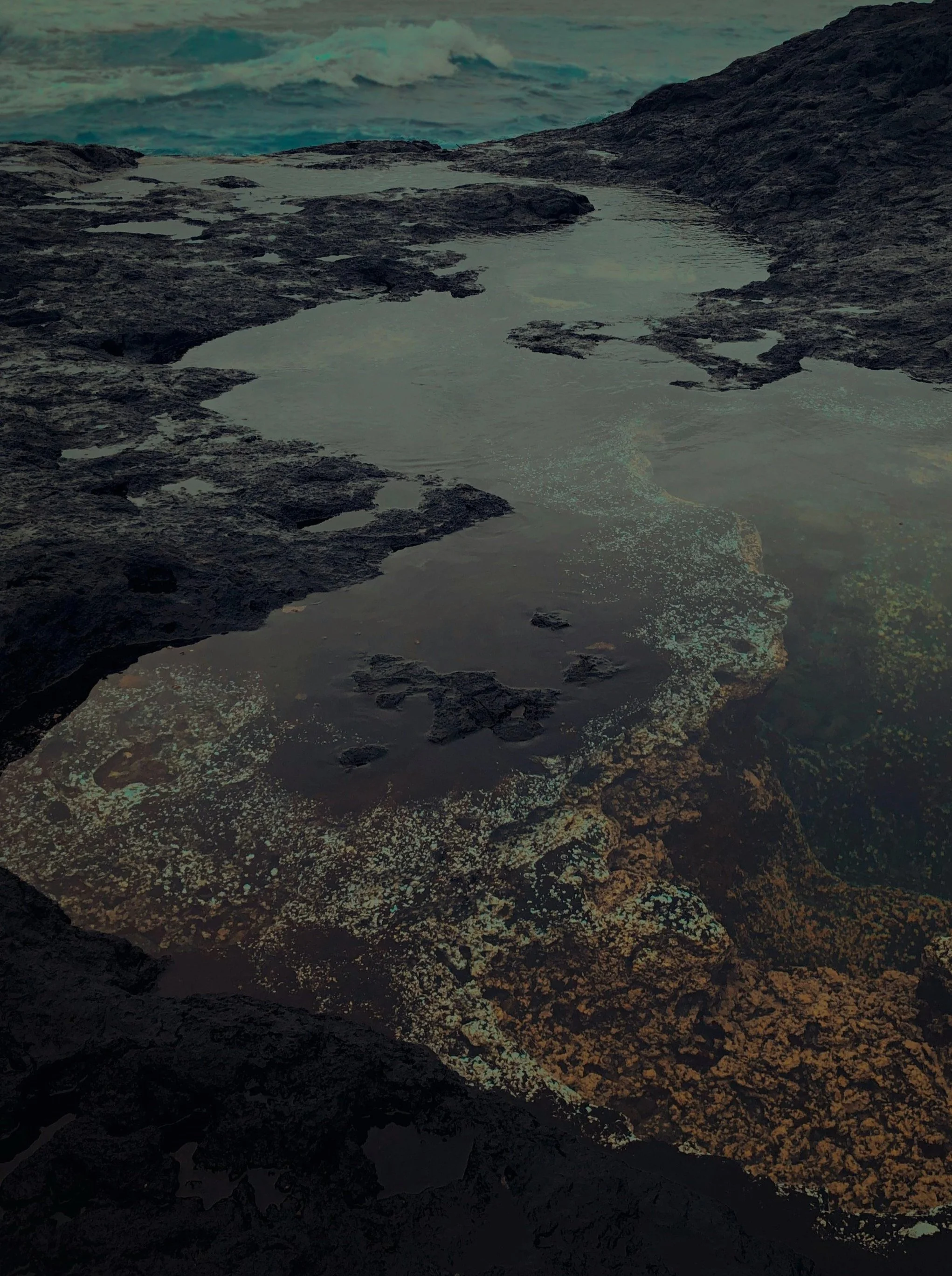 Rocks near the ocean with tide pools and waves in the background.