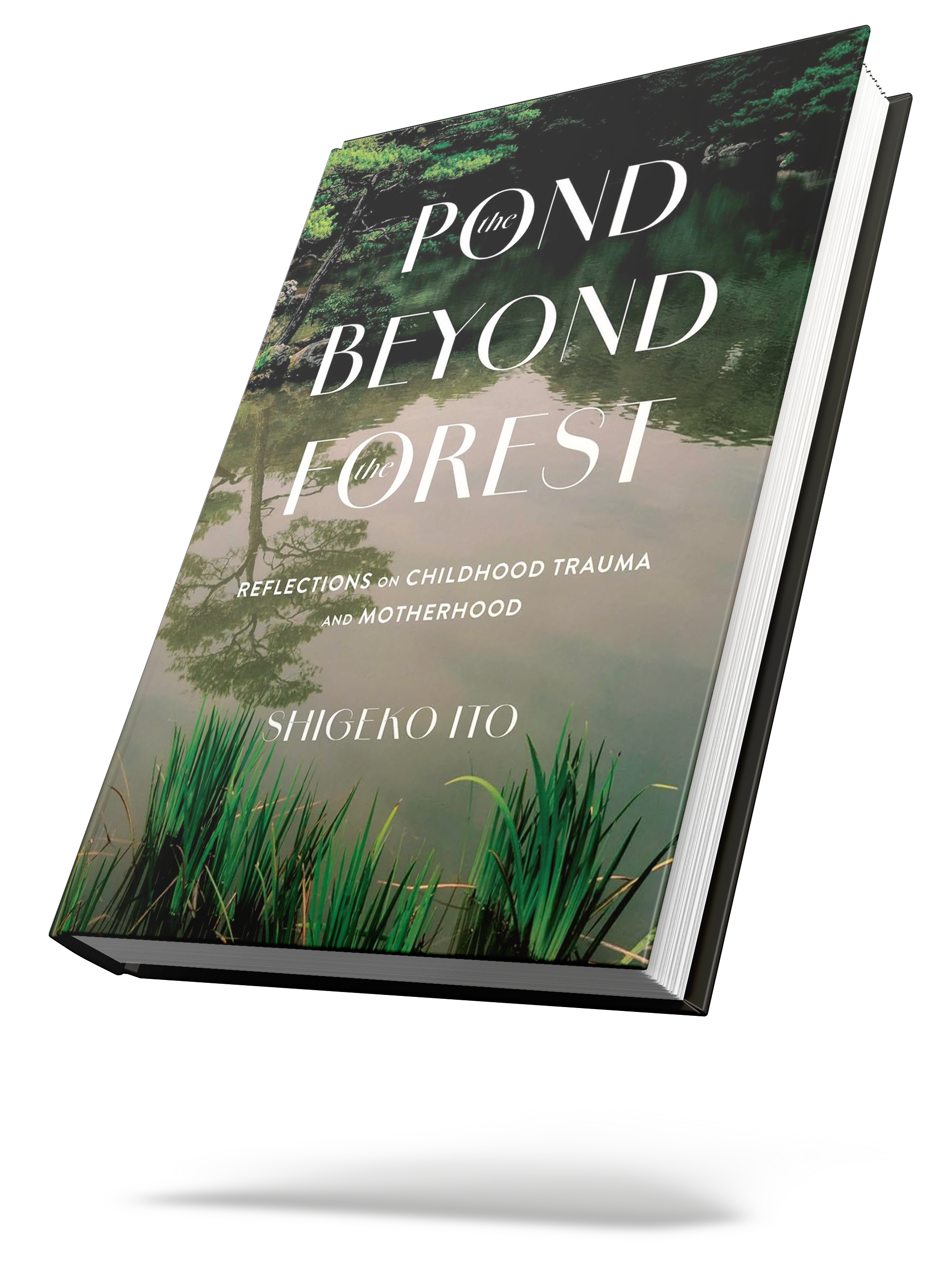 Book cover of 'The Pond Beyond the Forest' by Shigeko Ito, depicting a serene pond with surrounding foliage.