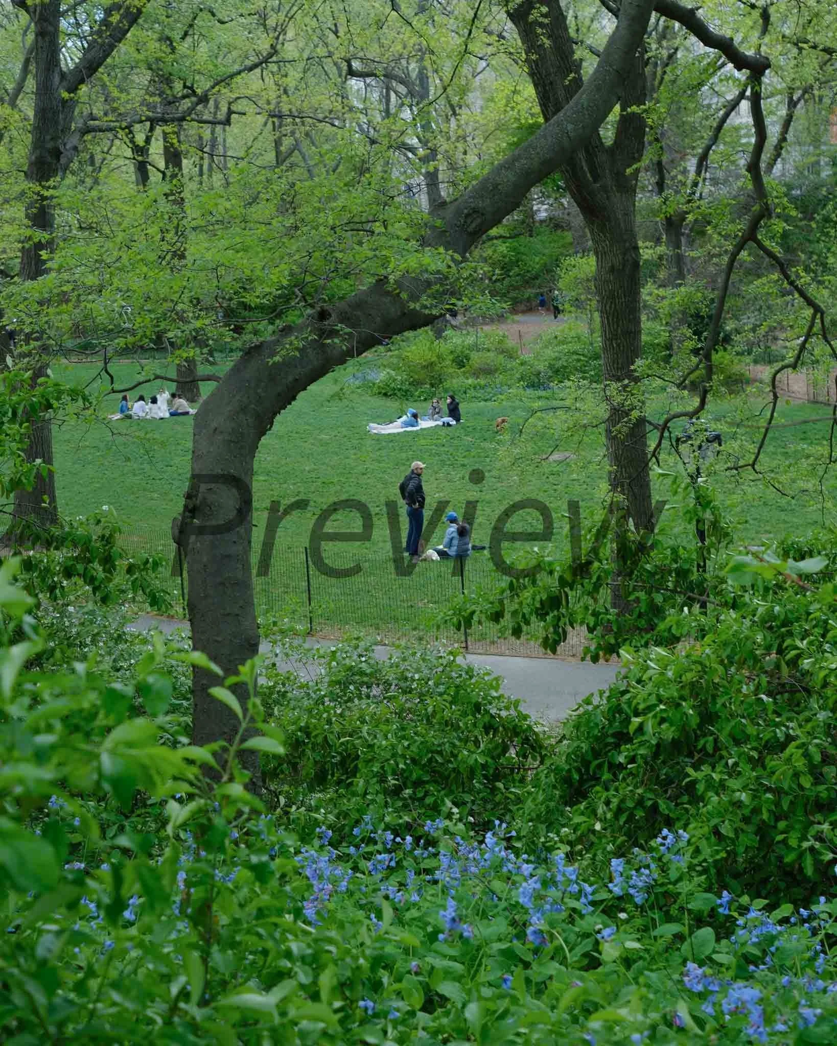 DSCF9096.jpg