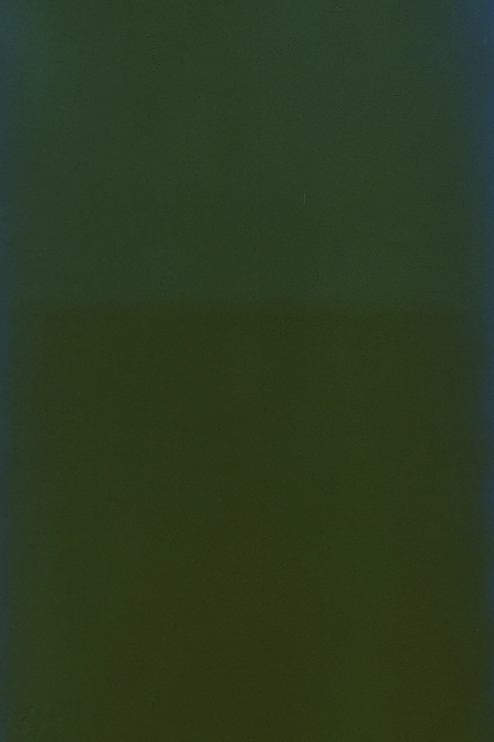 249-1-30_result.jpg