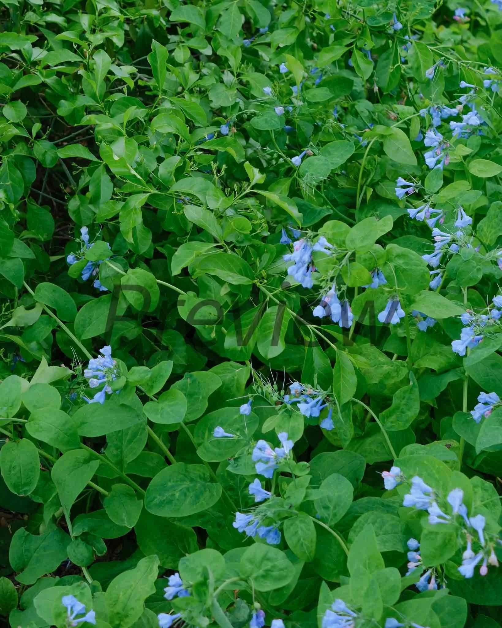 DSCF9098.jpg