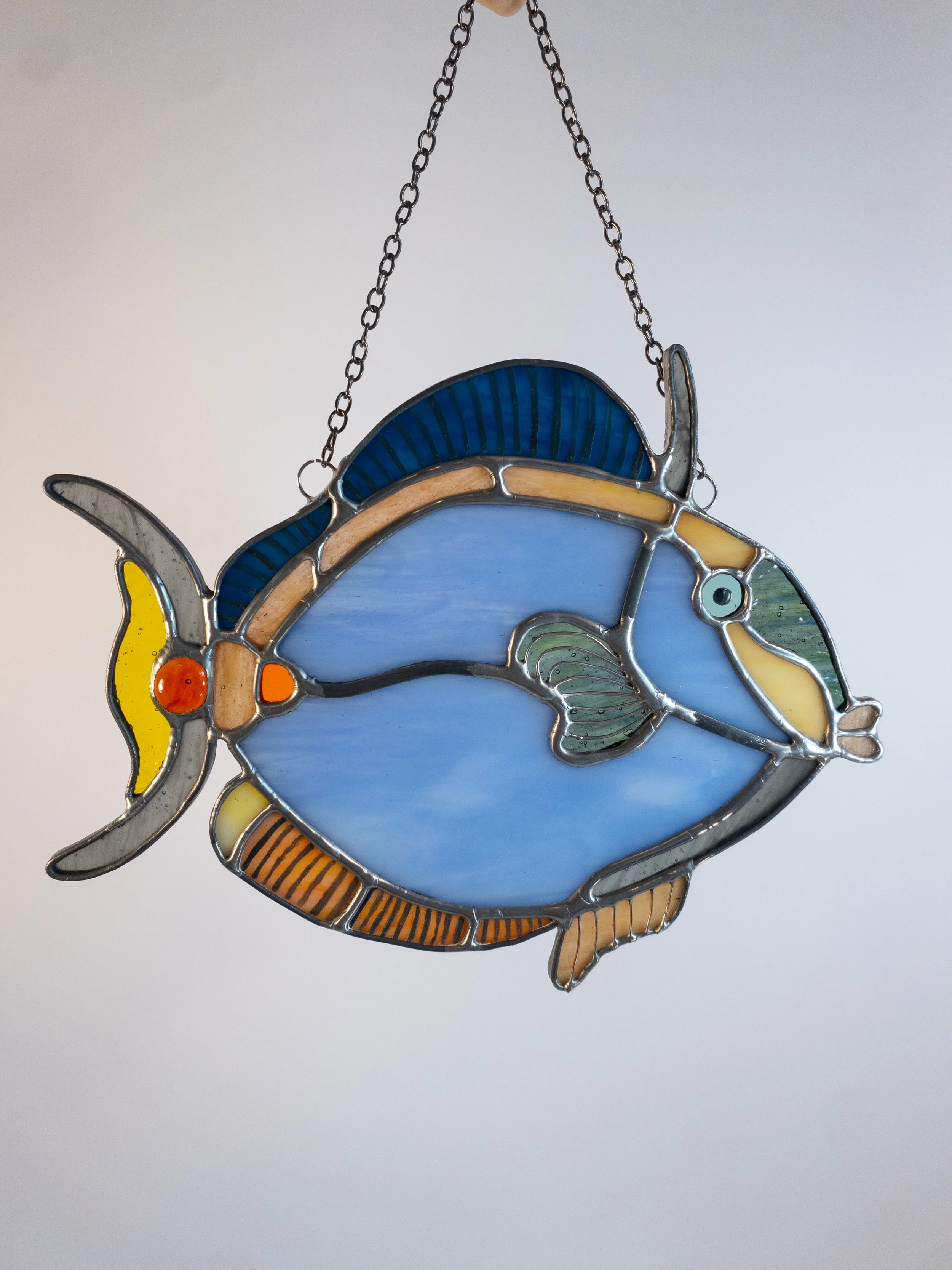 Tropical Fish- Commission May 2025