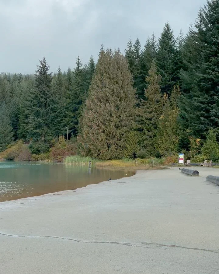 Autumn in Whistler 🍁🍂🍃 what a treat! ✨🌄 
Lost lake has never been so green and nature is sending a message about peace and serenity 
This period calls for reconciliation within - to know why you are doing what you are every day, every week, every