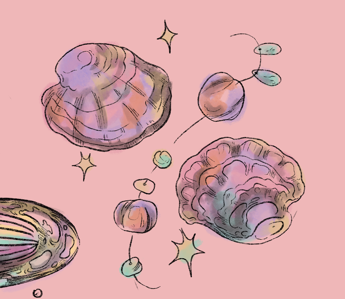 Shell Charm 2 (for serendipity)