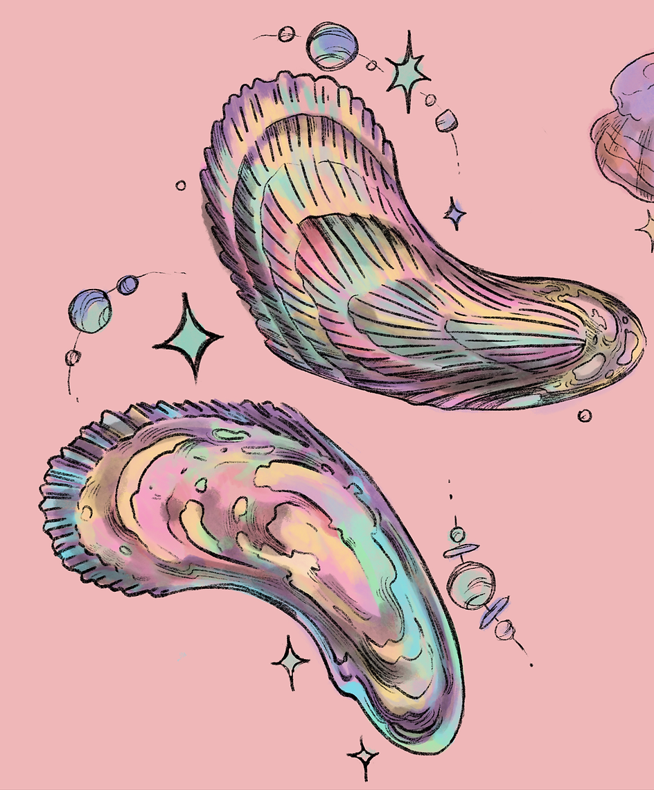 Shell Charm 1 (for spontaneity)