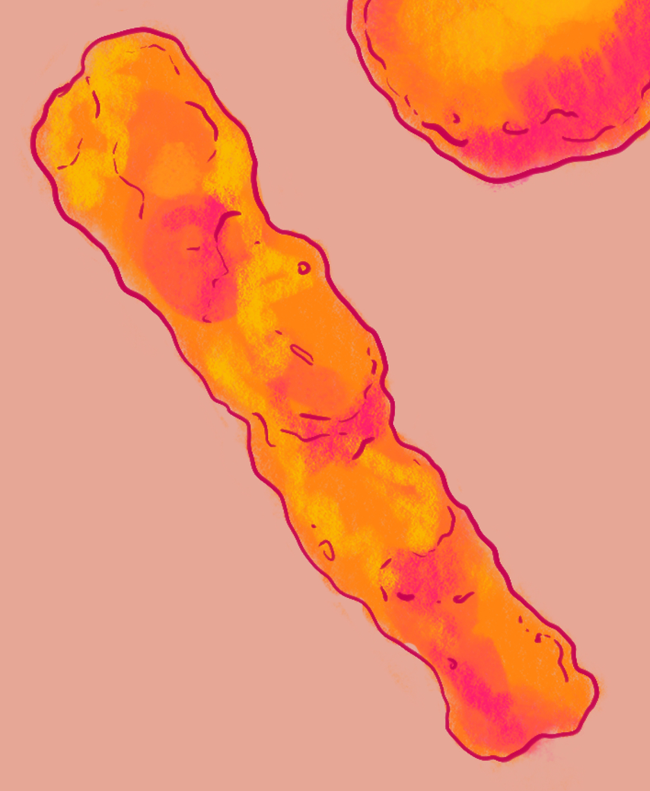 It's a regular Cheeto! (REPEATABLE)
