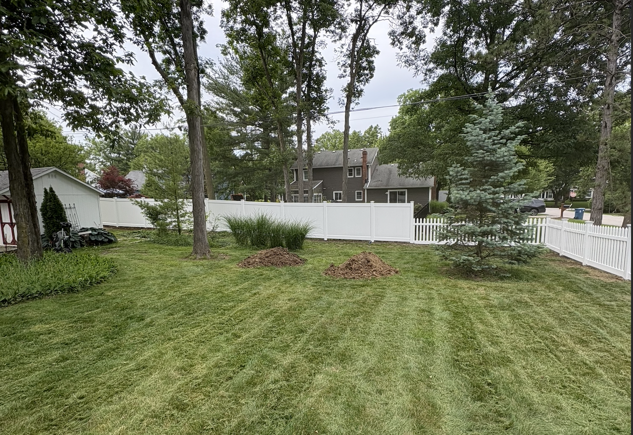 Screenshot 2026-02-11 at 1.37.51 AM.png