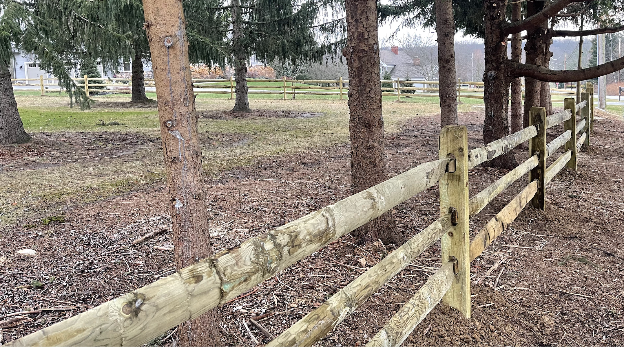 Screenshot 2026-02-17 at 1.07.15 PM.png