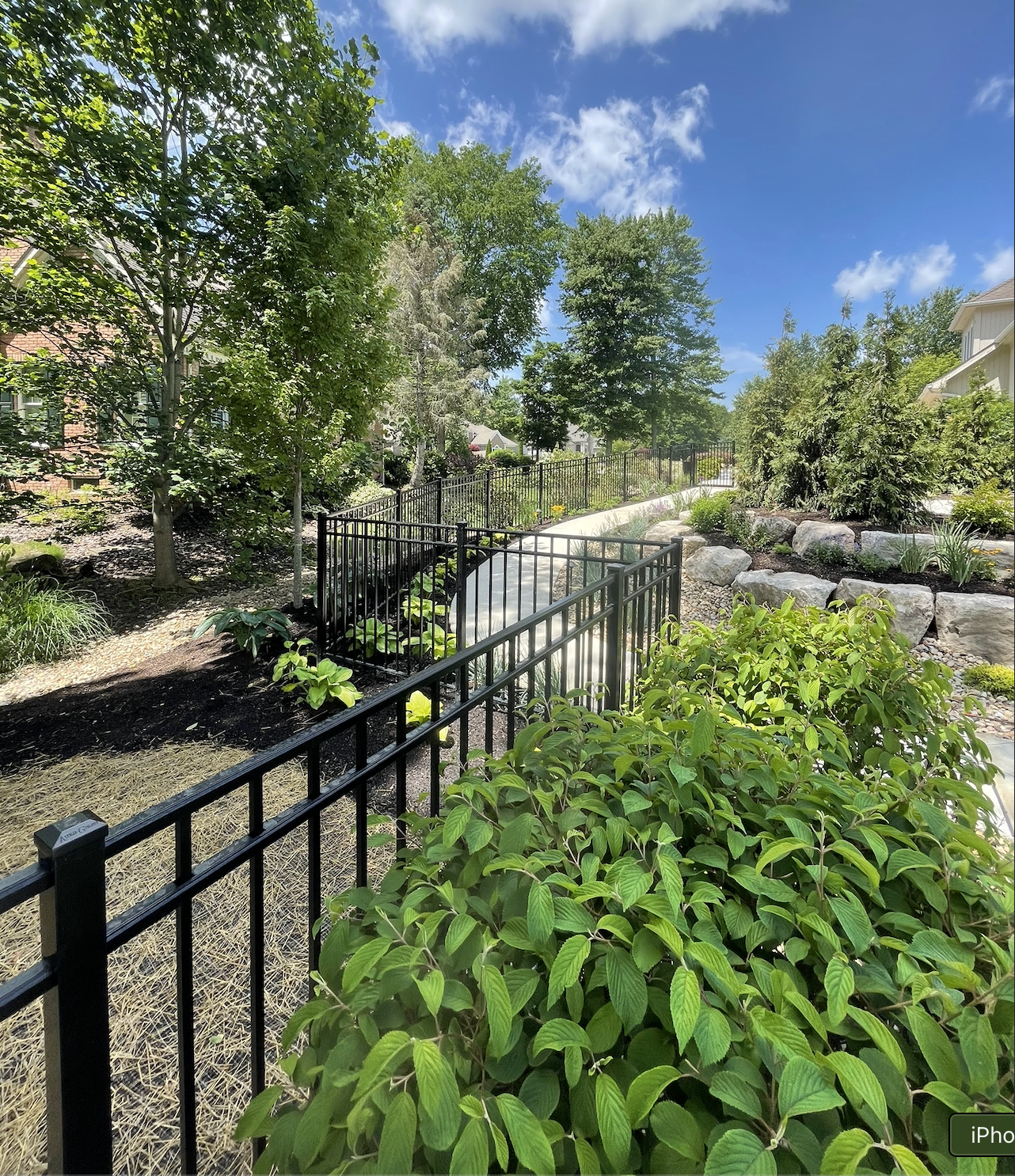 Screenshot 2026-02-11 at 12.15.02 AM.png