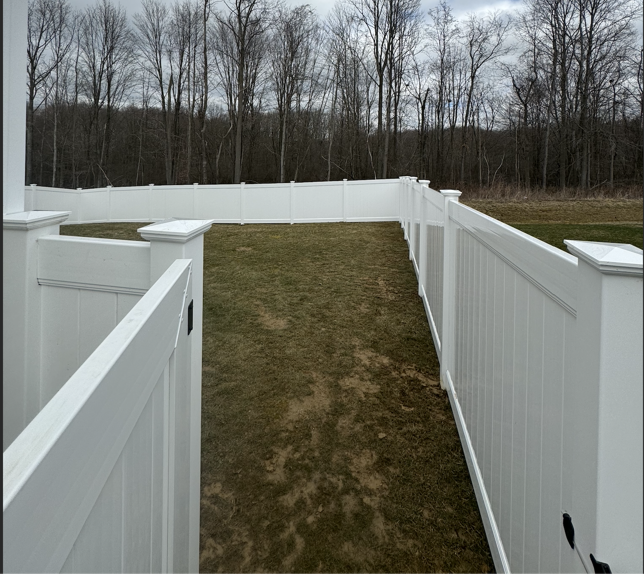 Screenshot 2026-02-11 at 1.38.23 AM.png