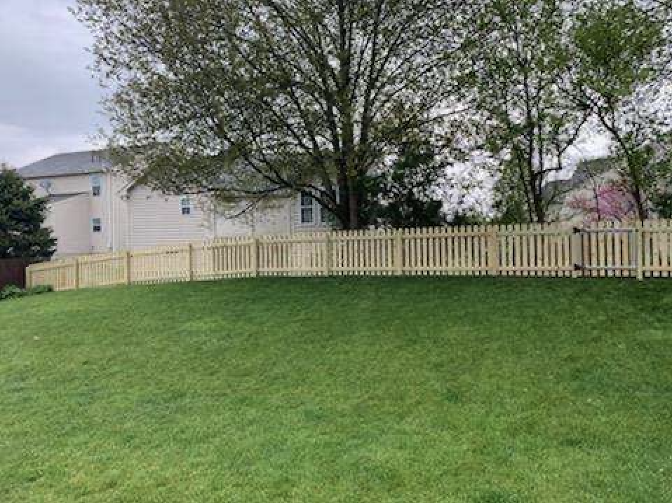 Screenshot 2026-02-11 at 1.01.16 AM.png