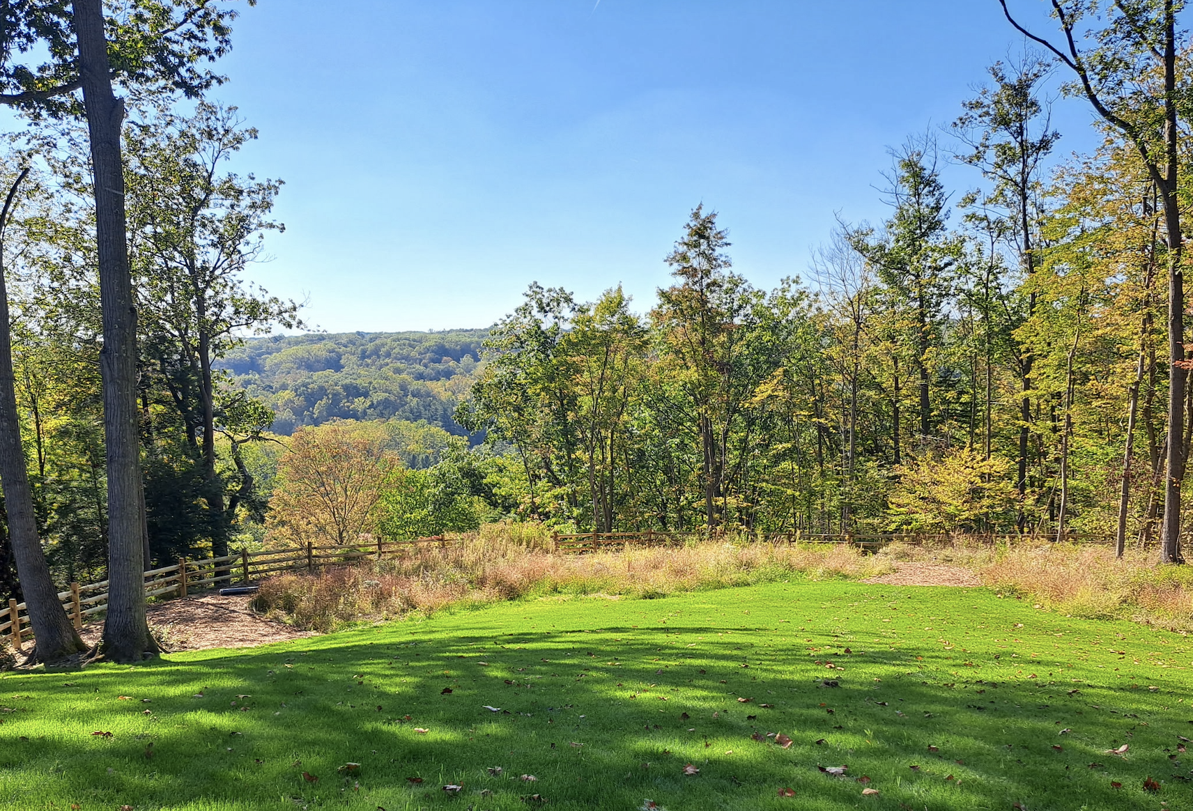 Screenshot 2026-02-17 at 1.14.42 PM.png