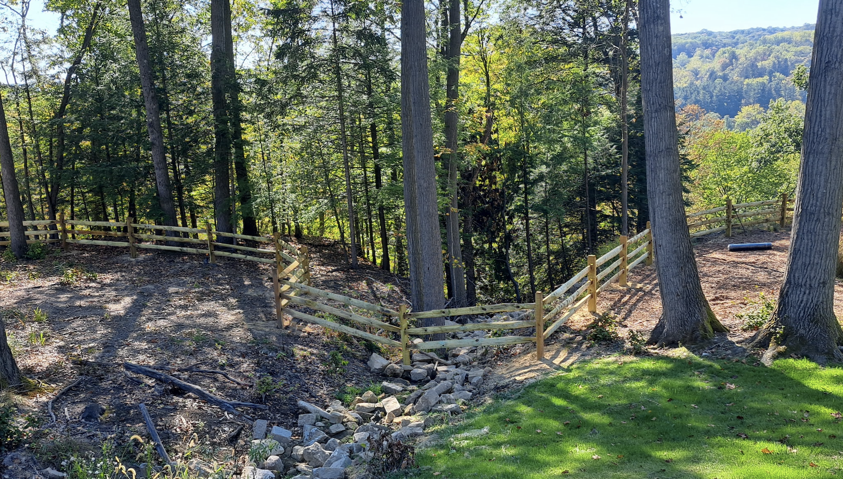 Screenshot 2026-02-17 at 1.14.51 PM.png