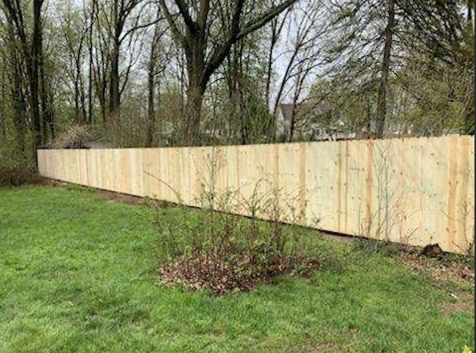 Screenshot 2026-02-11 at 1.01.24 AM.png