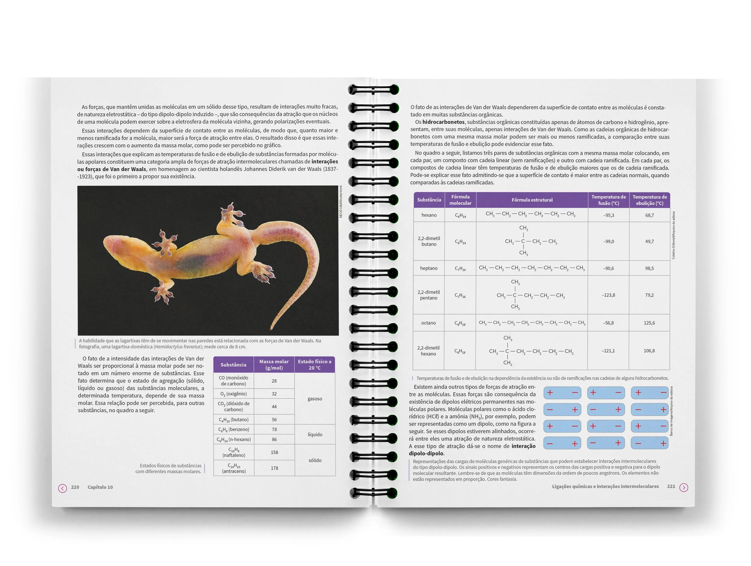 CV_1.jpg