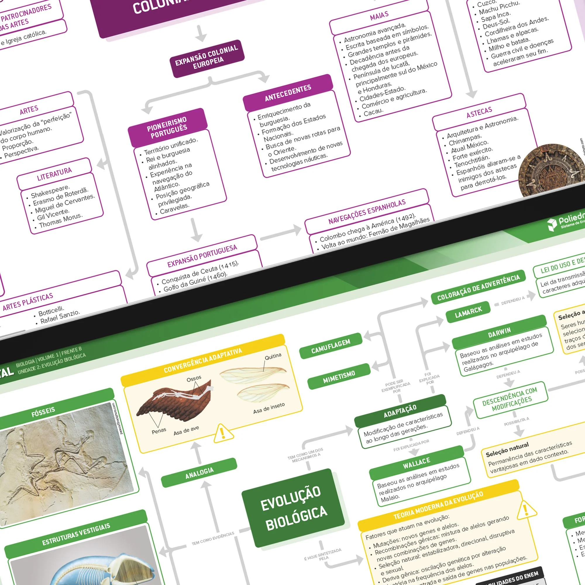 Mapas Mentais - Lumen