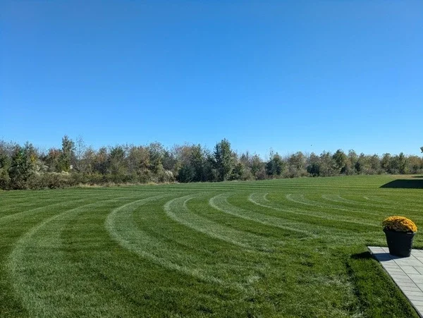 Arcing stripes from mowing service in Milton, DE