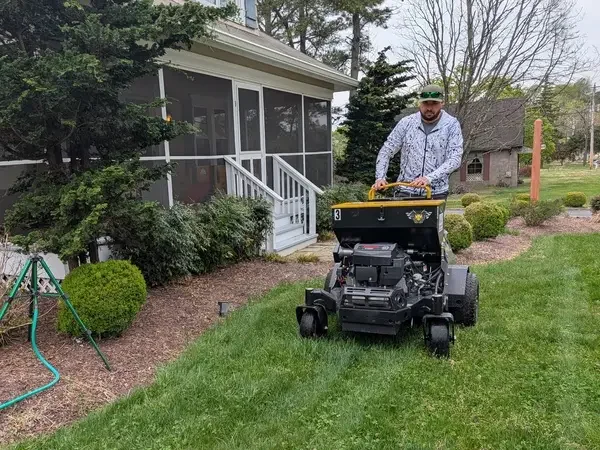 overseeding and aeration in a yard in milton, delaware