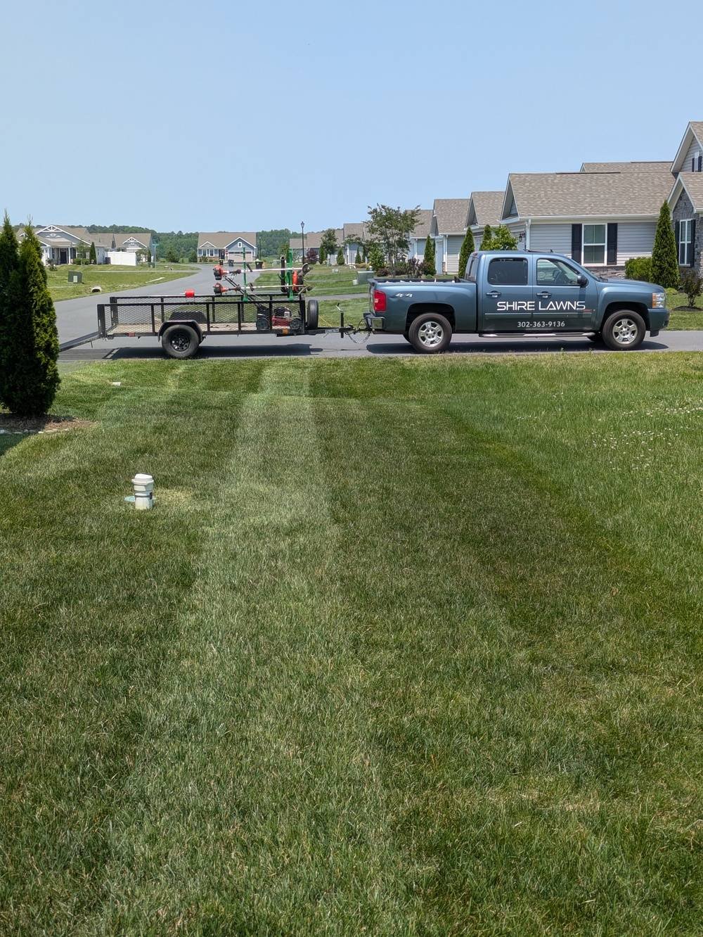 Shire Lawn 3.jpg