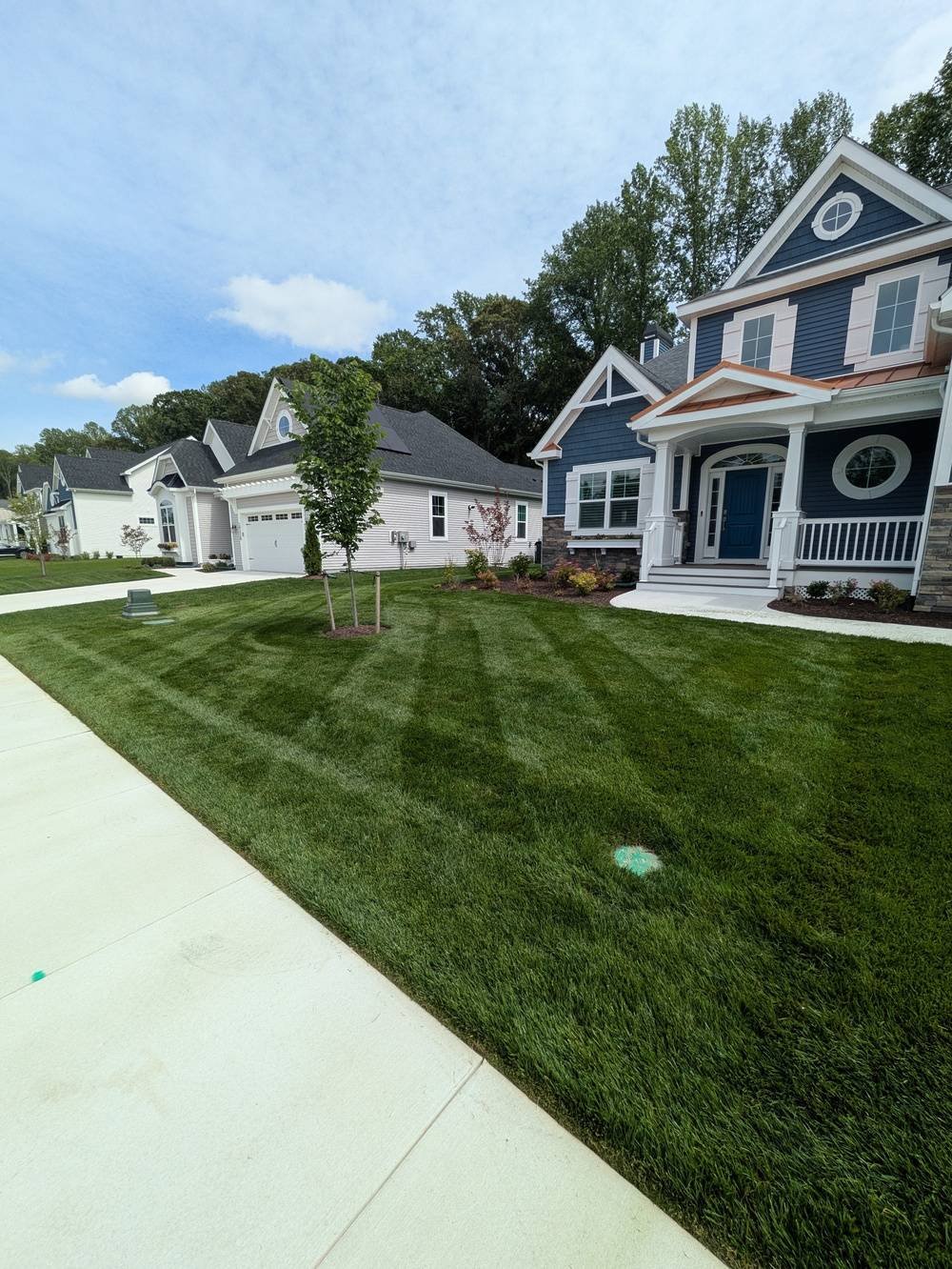 Shire Lawn 2.jpg