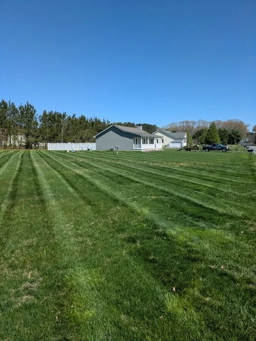 A large, well-maintained grassy backyard with evenly cut stripes. In the background, there is a gray house with a white garage door and several vehicles parked outside. The sky is clear and blue, with trees and a white fence surrounding the yard.